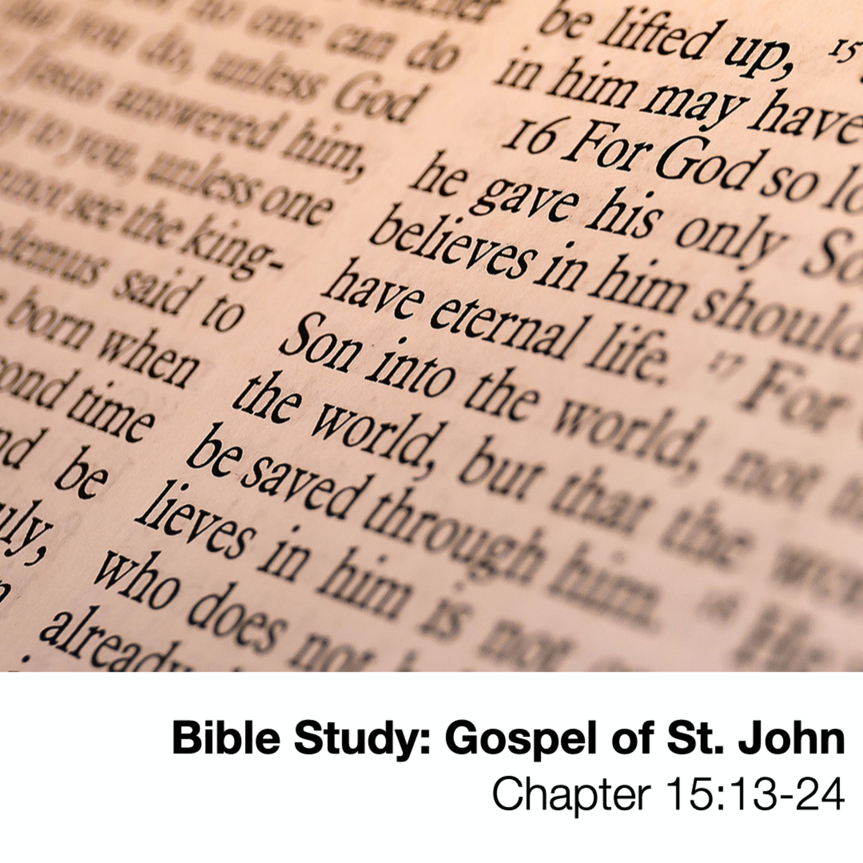 Bible Study: Gospel of St. John - Chapter 15:13-24 - November 29, 2020