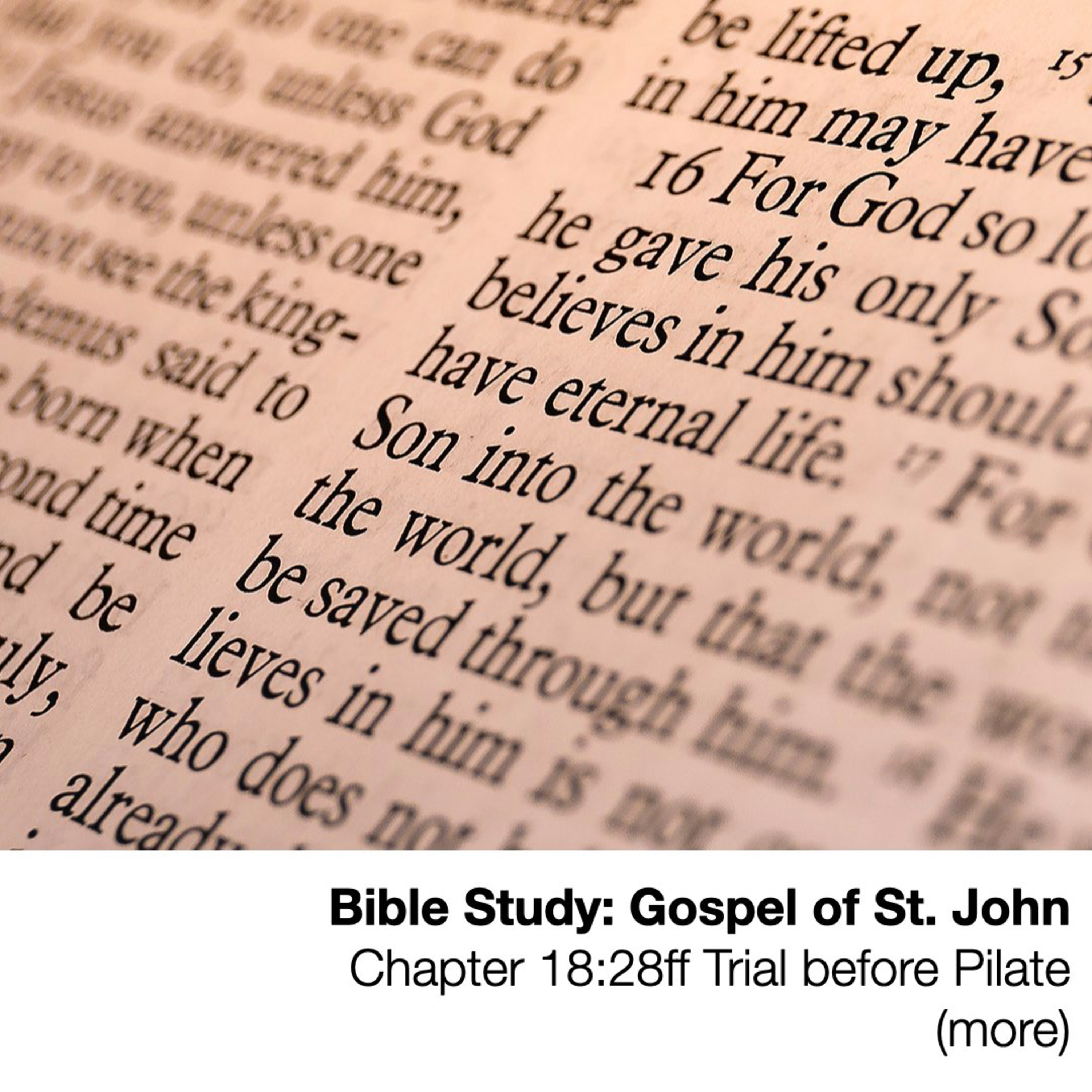 Bible Study: Gospel of St. John - Chapter 18:28ff - Trial before Pilate (more)