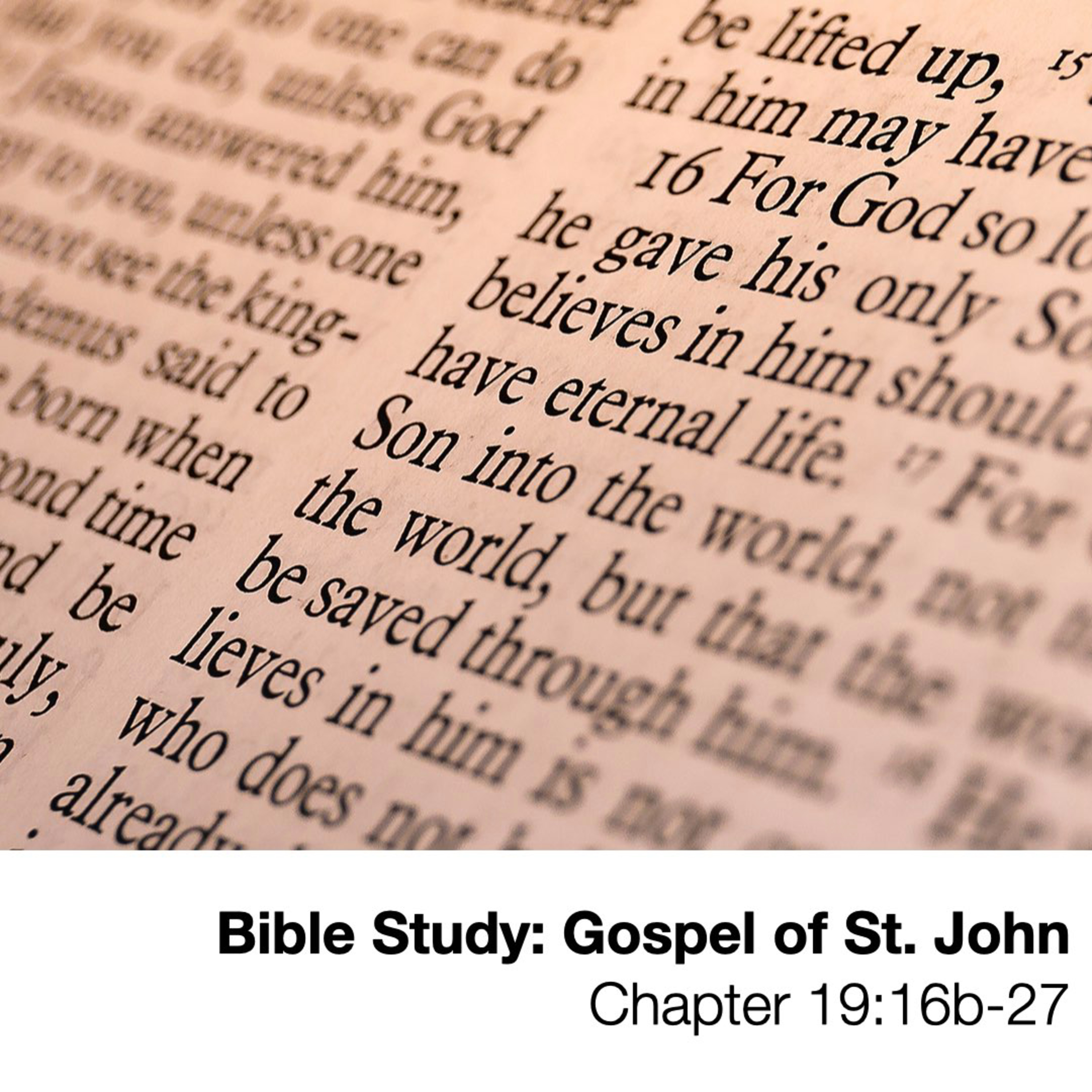 Bible Study: Gospel of St. John  Chapter 19:16b-27