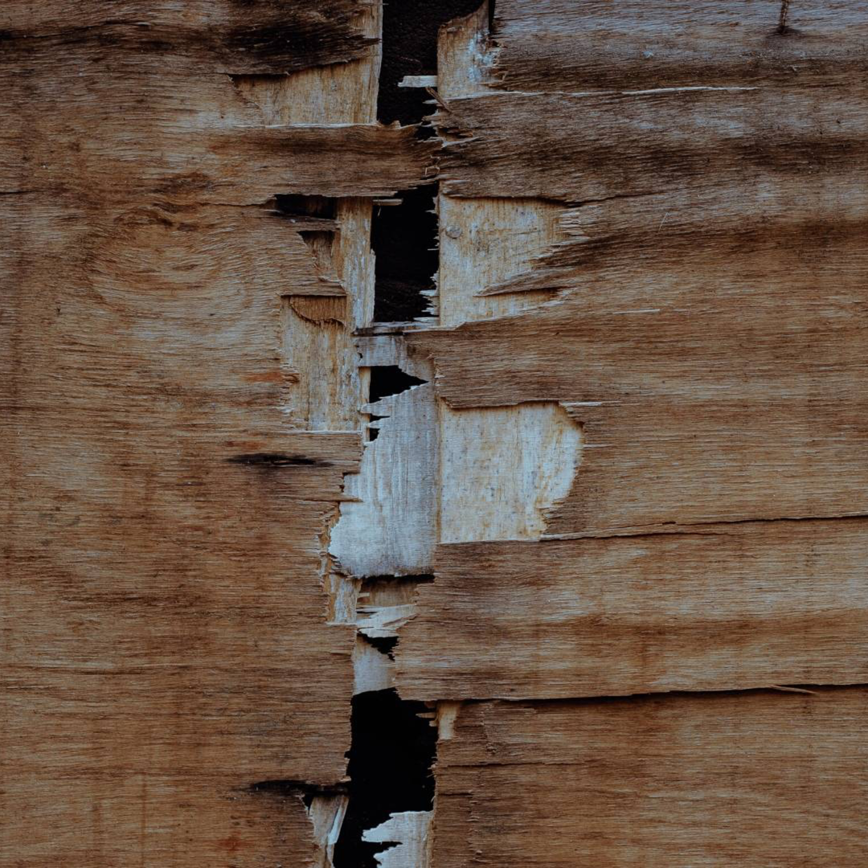 Christ Brings Division and Suffering—Luke 12:49-59