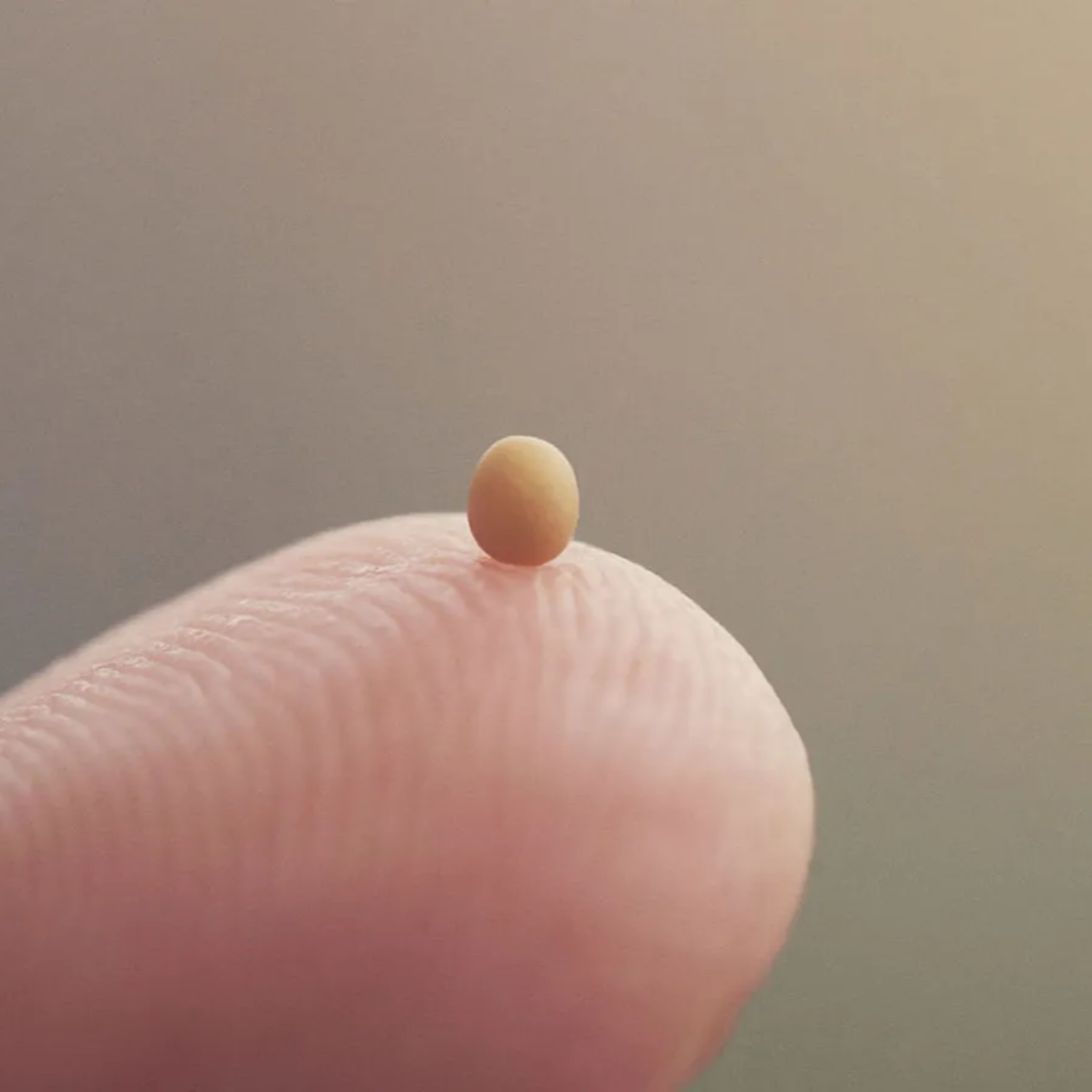 The Mustard Seed and the Leaven—Luke 13:18-35