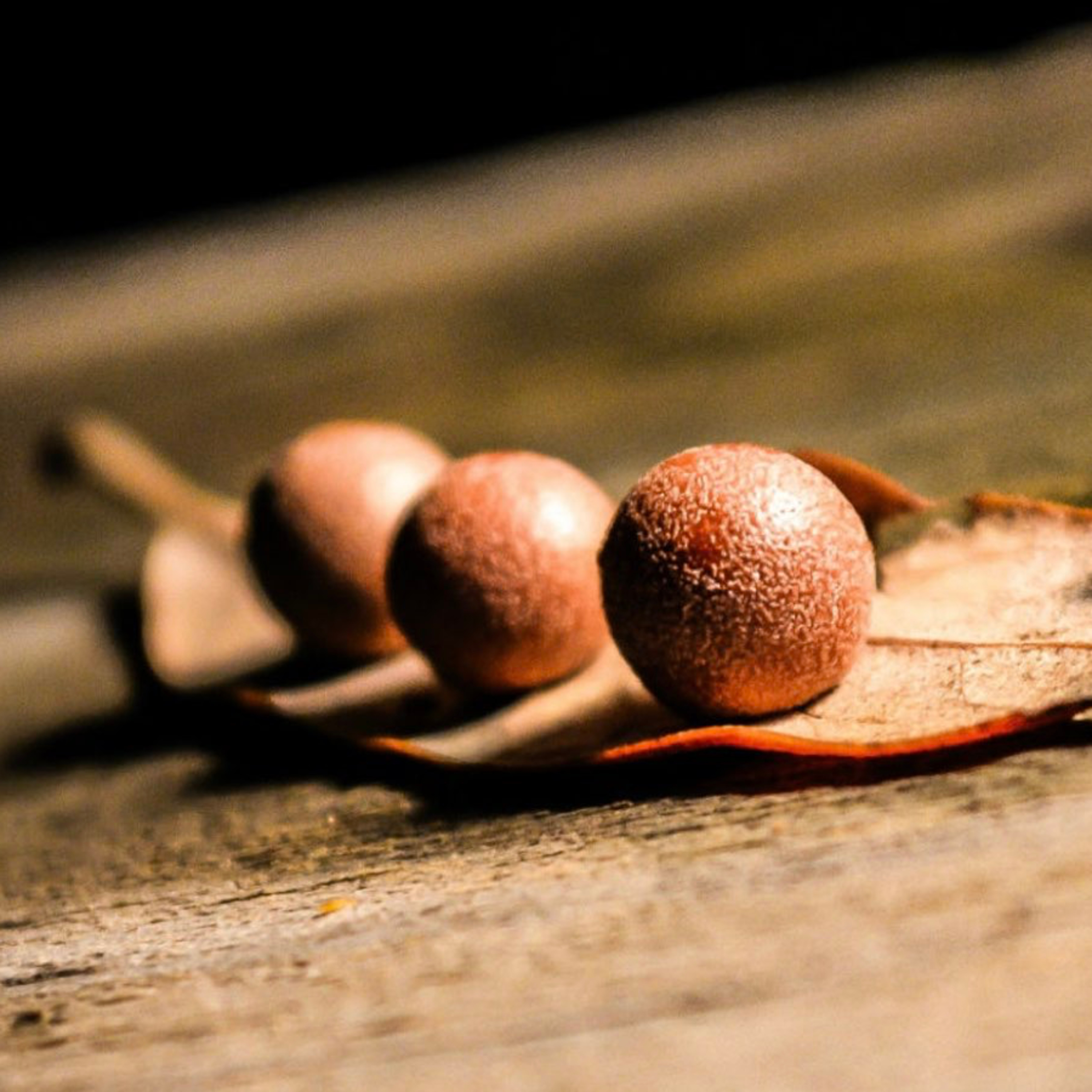 Faith as a Mustard Seed—Luke 17:1-10