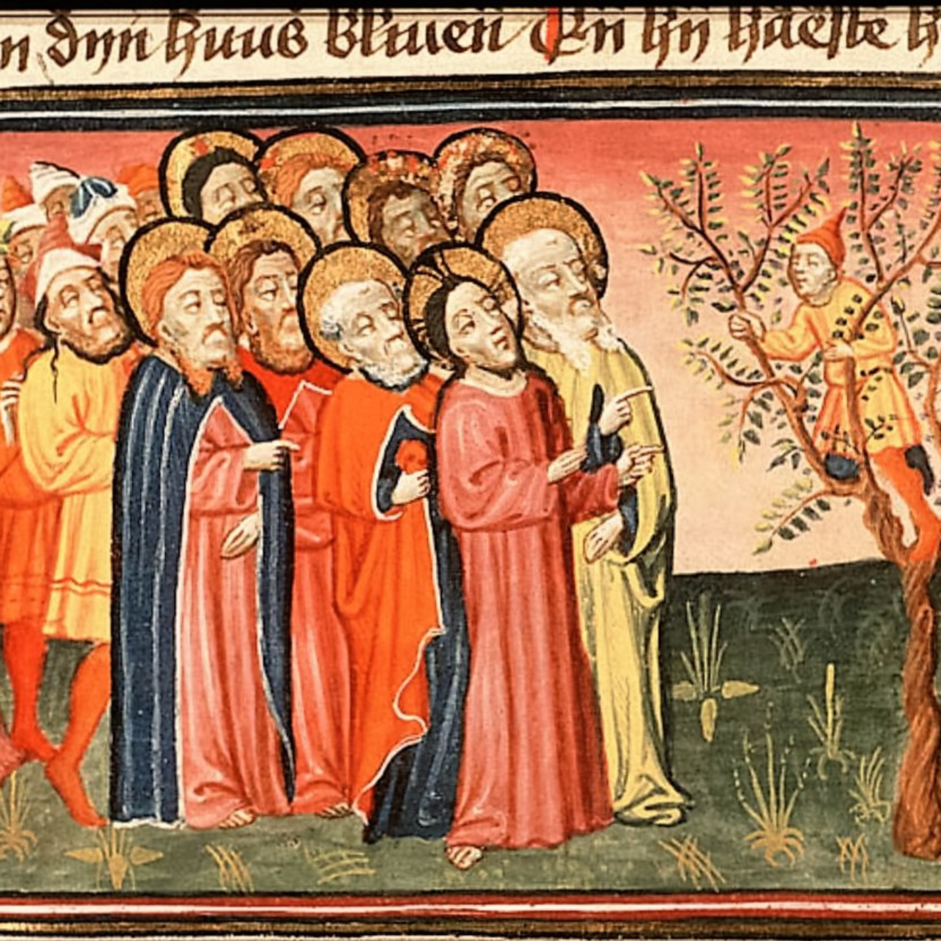 Jesus Comes to Zacchaeus’s House—Luke 19:1-10
