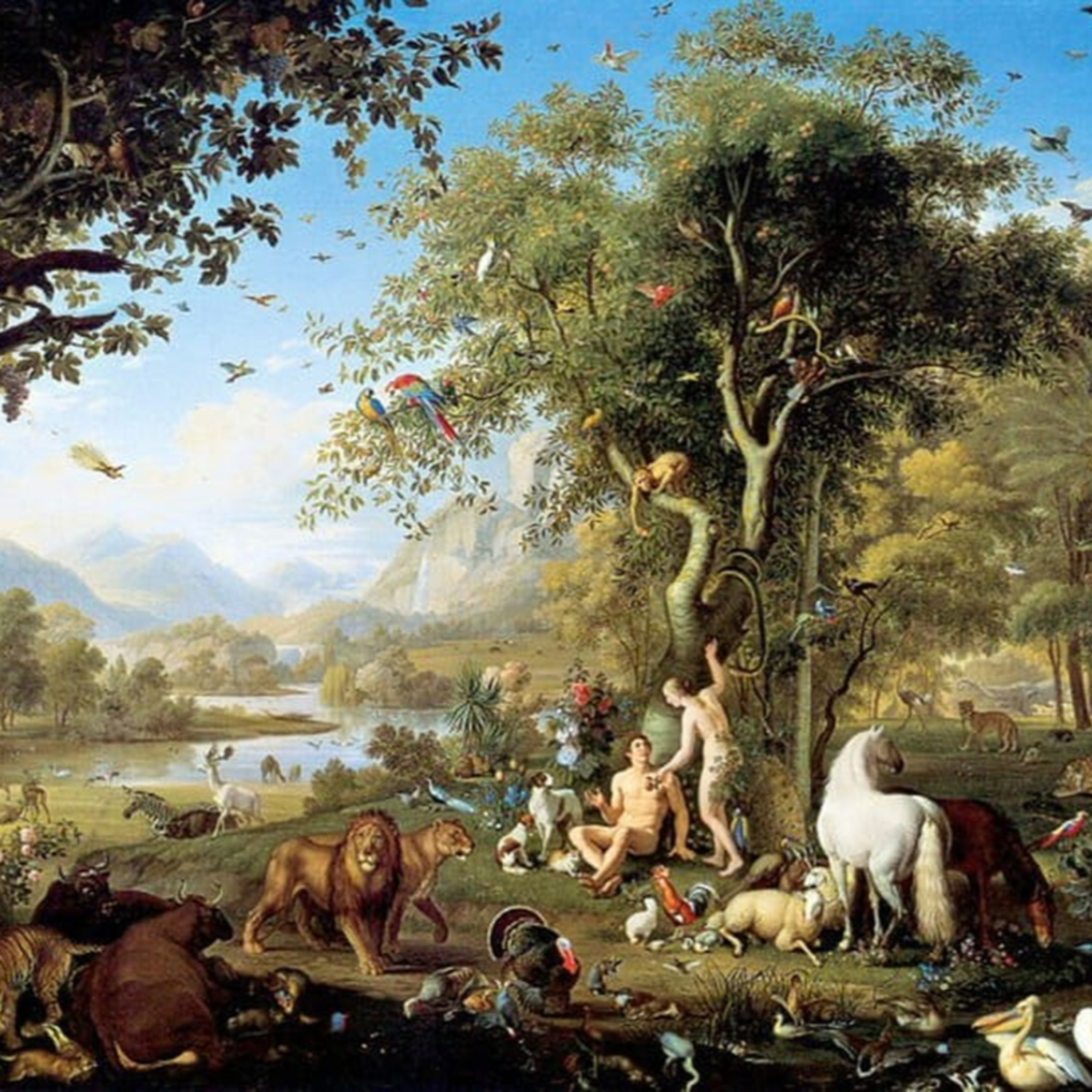 Creation—Days Five and Six—Genesis 1:20-31