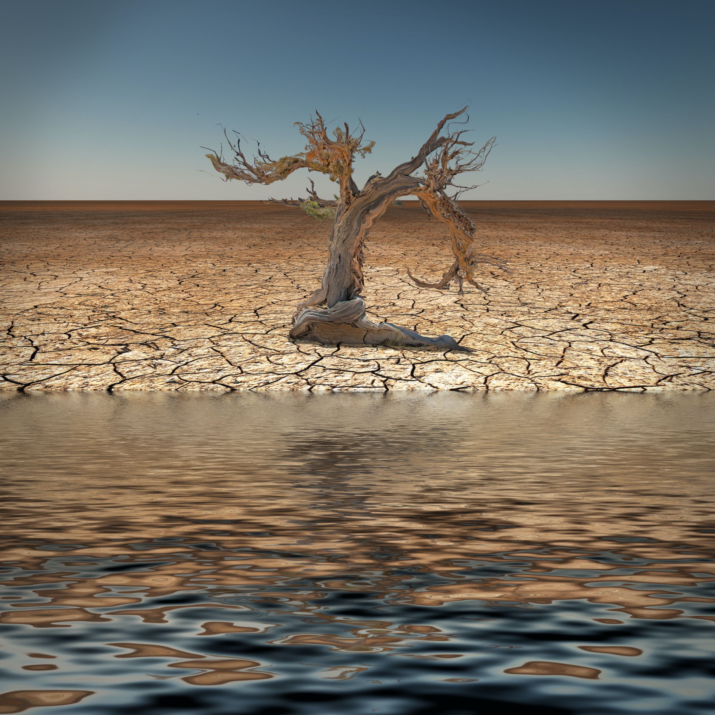 Bitter Water Made Sweet—Exodus 15:22-27
