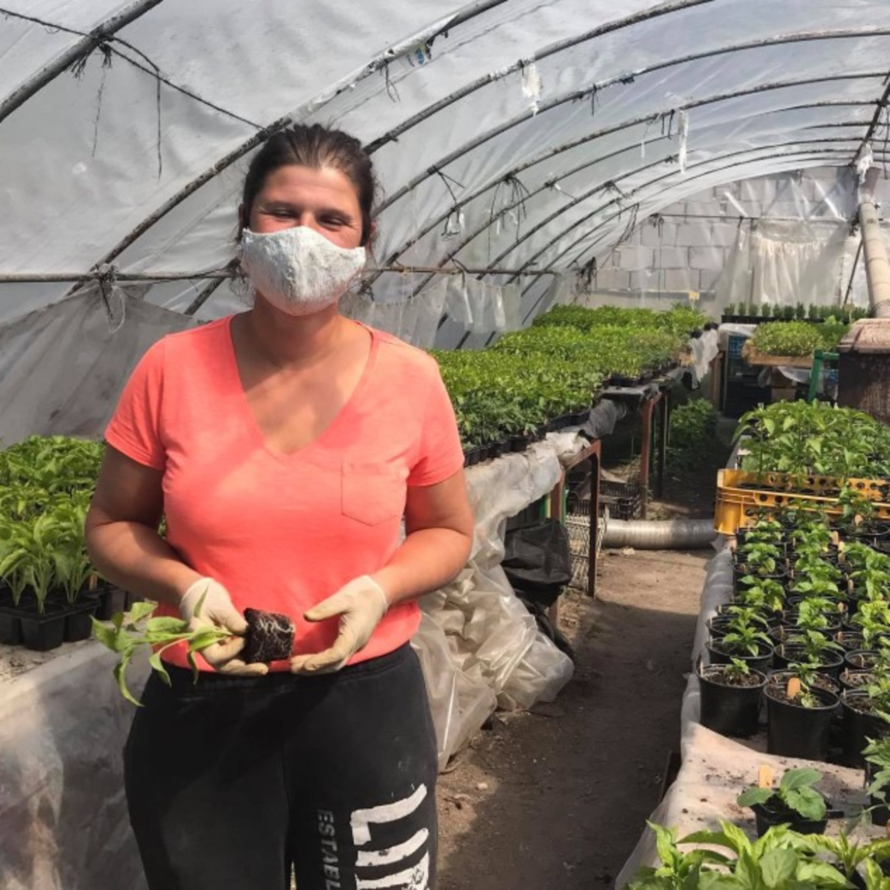 #13 Rajčiny na jej farme rastú aj vďaka Čechomoru a rokovej hudbe.