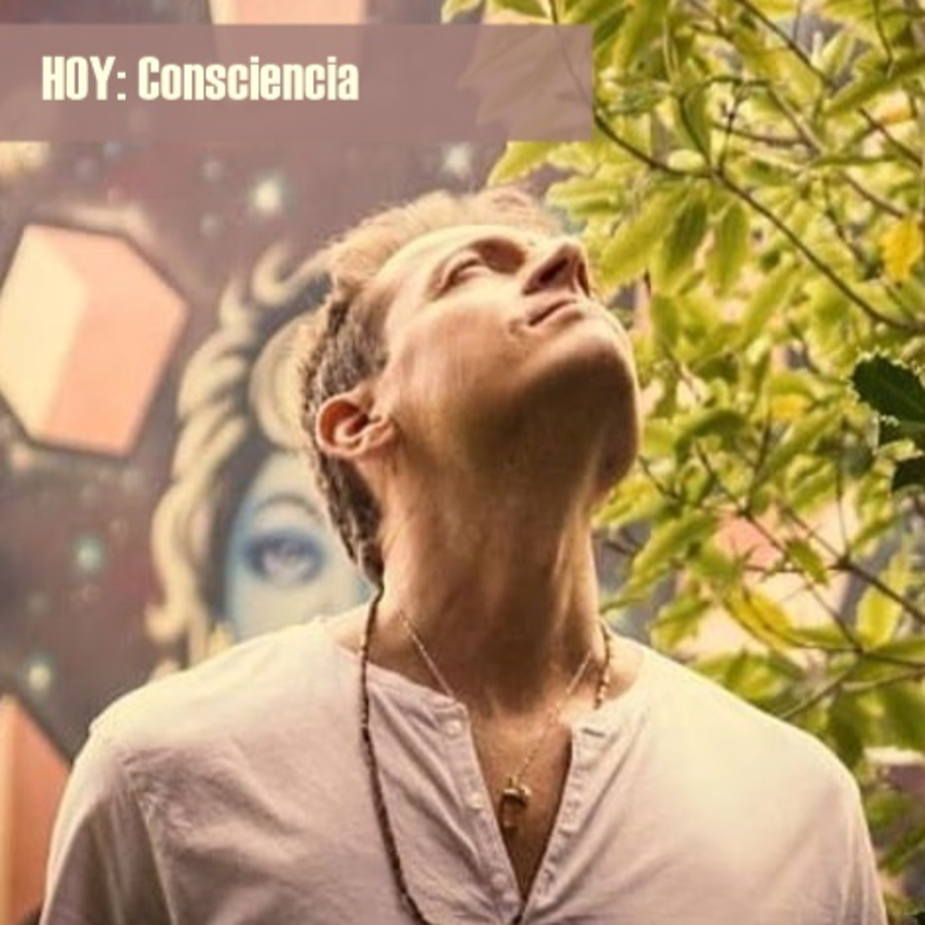 Radio Con Vos Mar del Plata 95.3