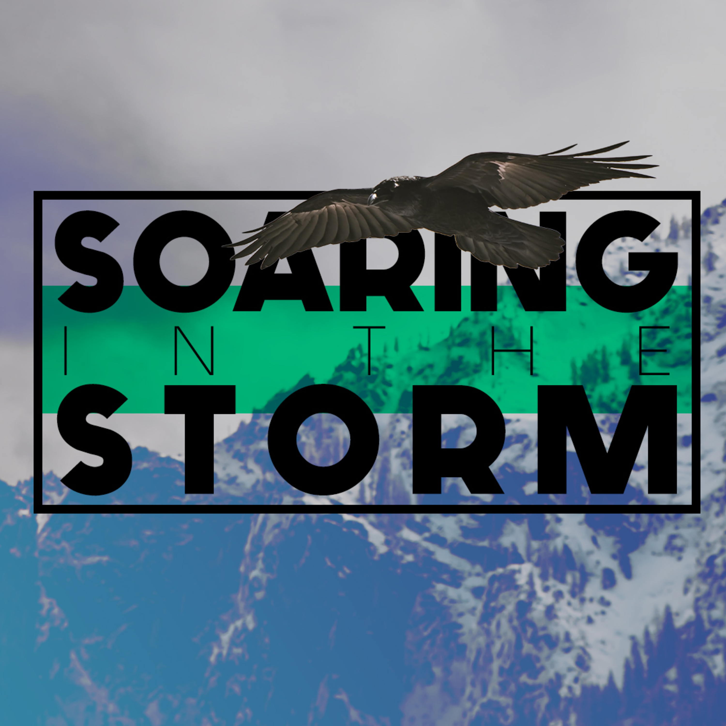 Soaring In The Storm episode artwork