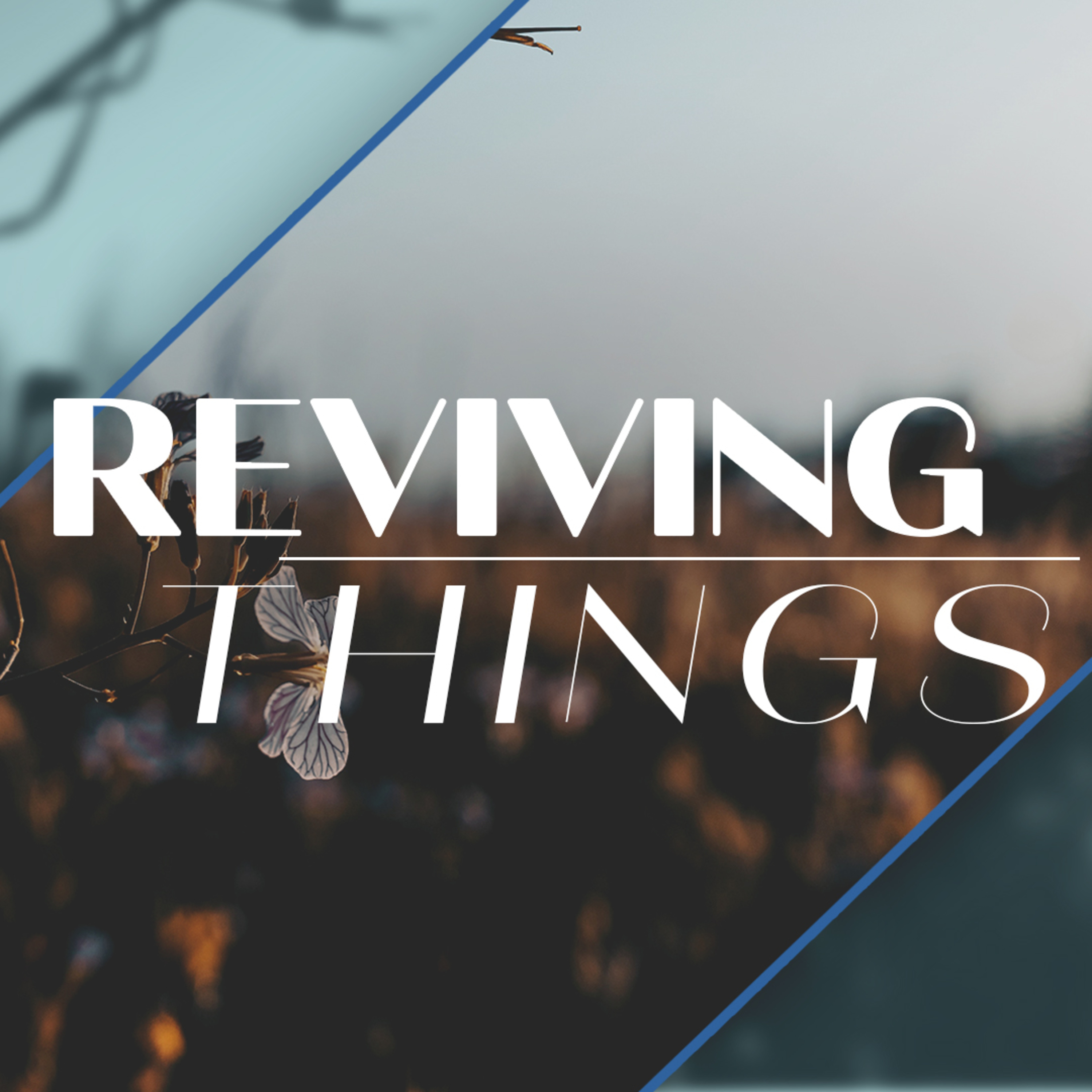 Reviving Things episode artwork