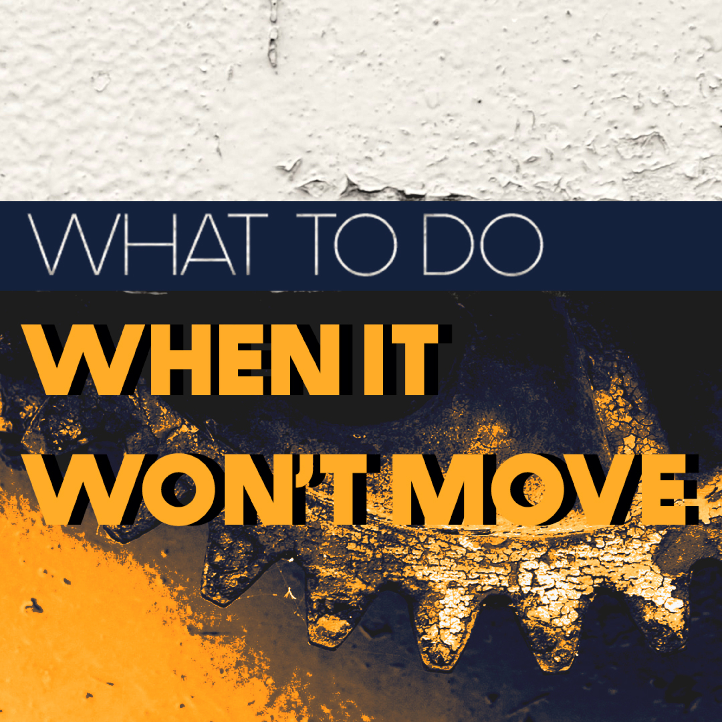 What To Do When It Won't Move episode artwork