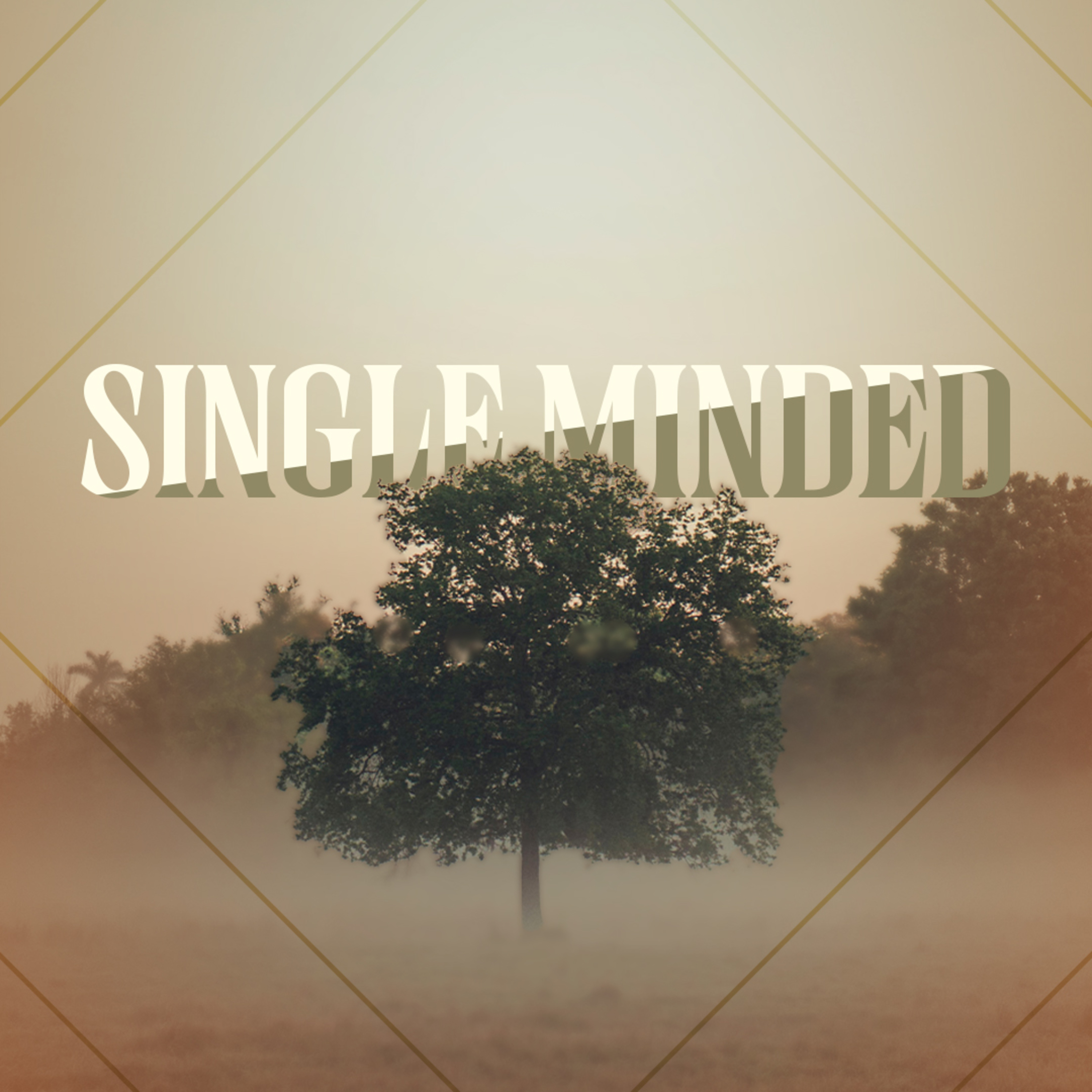 Single Minded episode artwork