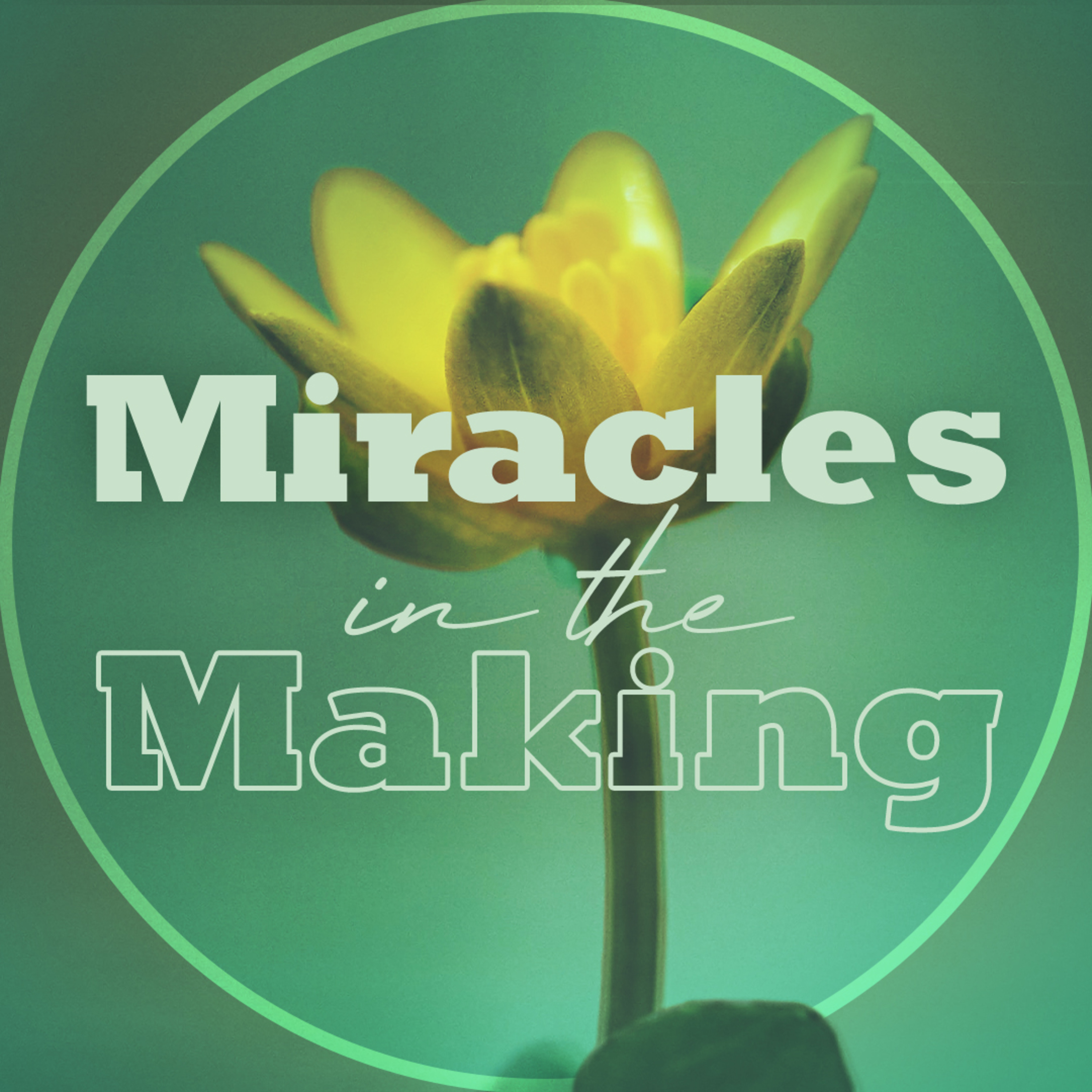 Miracles in the Making episode artwork