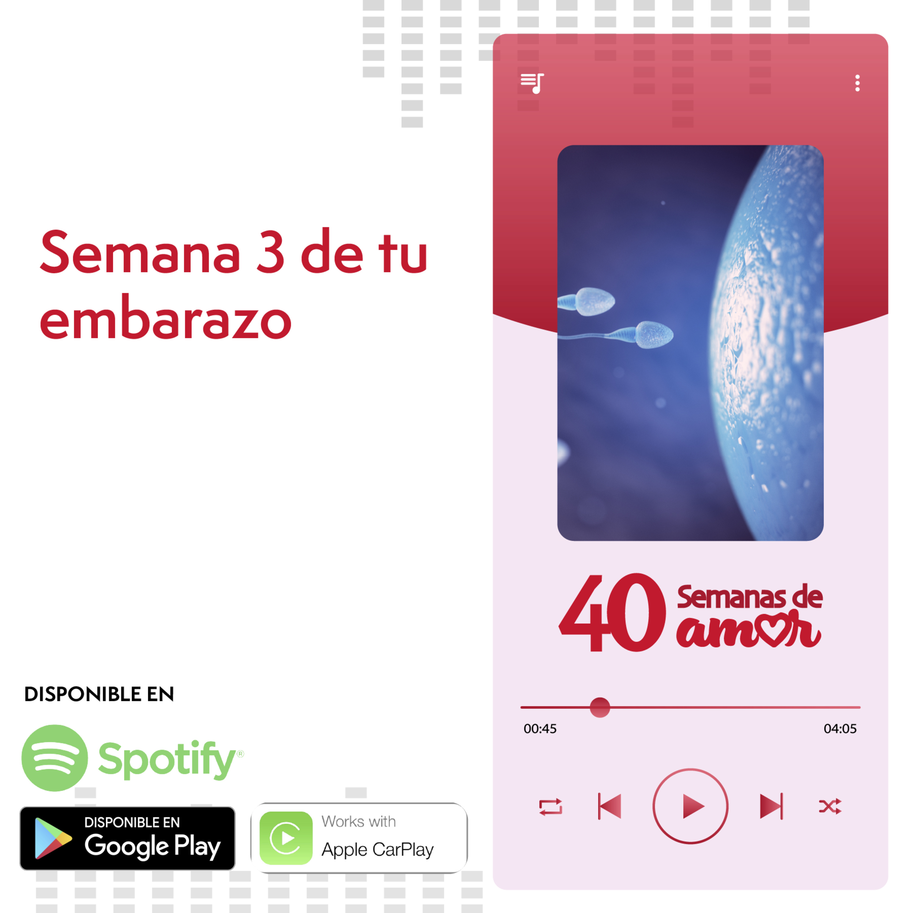 40 Semanas de Amor - Semana 3 de Embarazo episode artwork