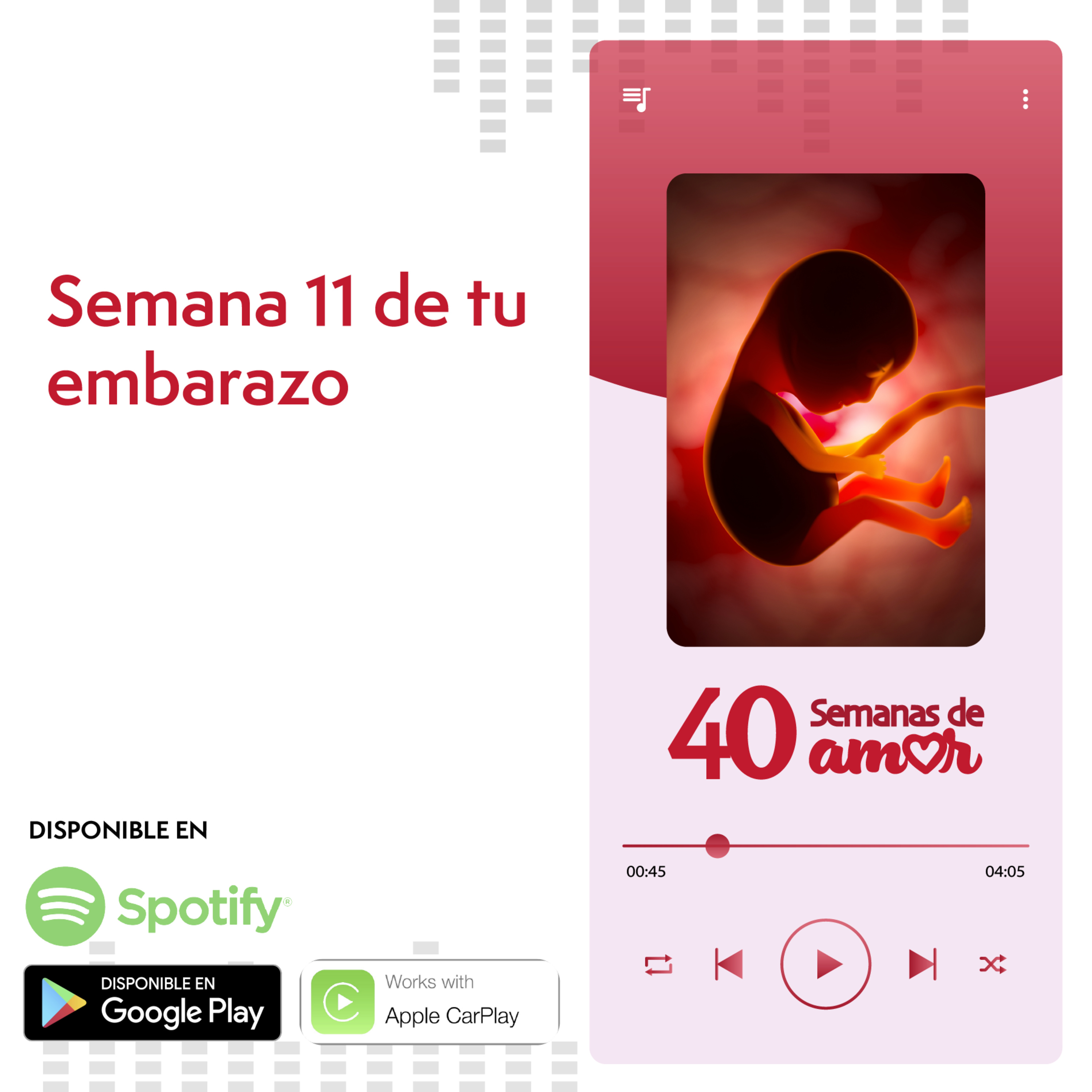 40 Semanas de Amor - Semana 11 de Embarazo episode artwork