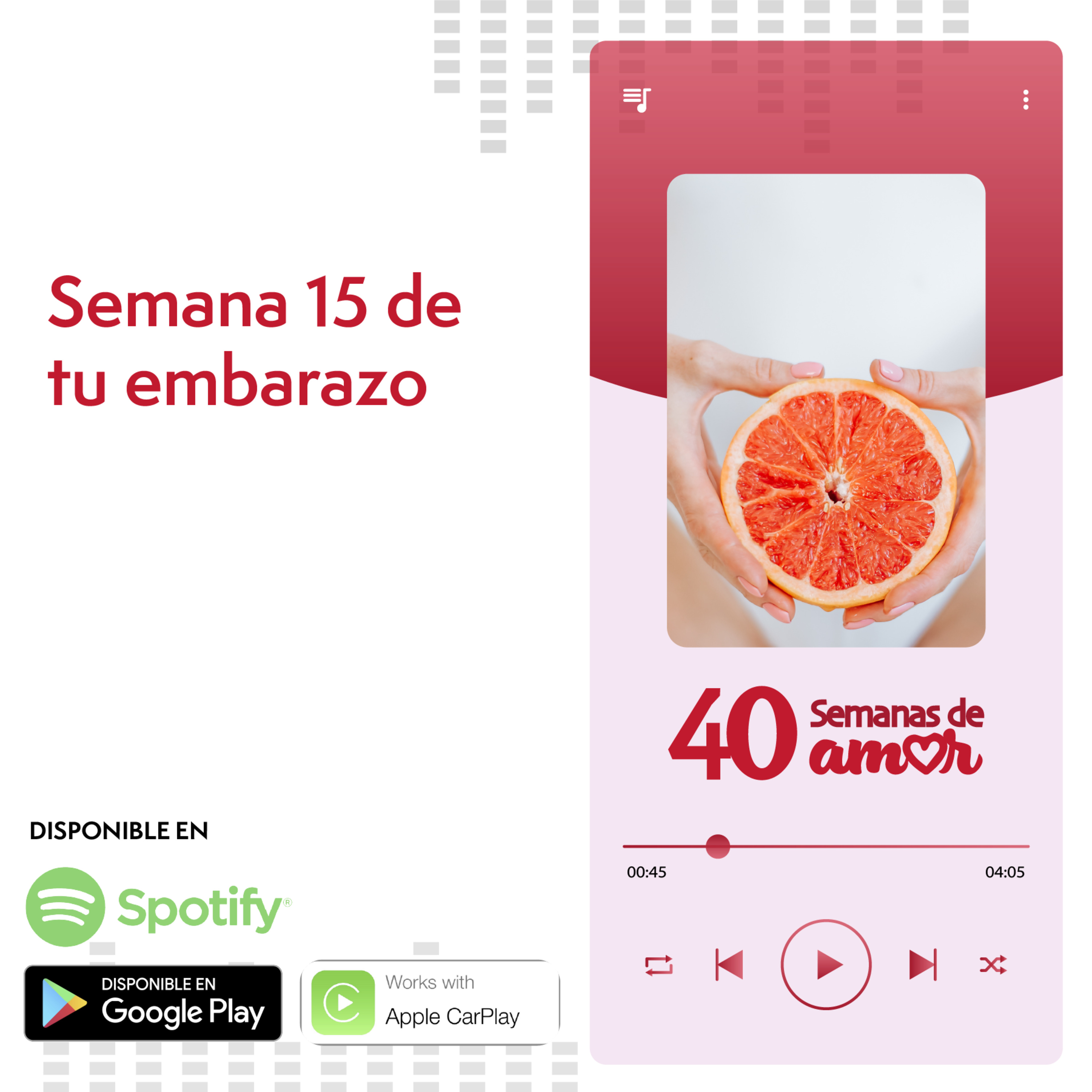 40 Semanas de Amor - Episodio 15: Semana 15 episode artwork
