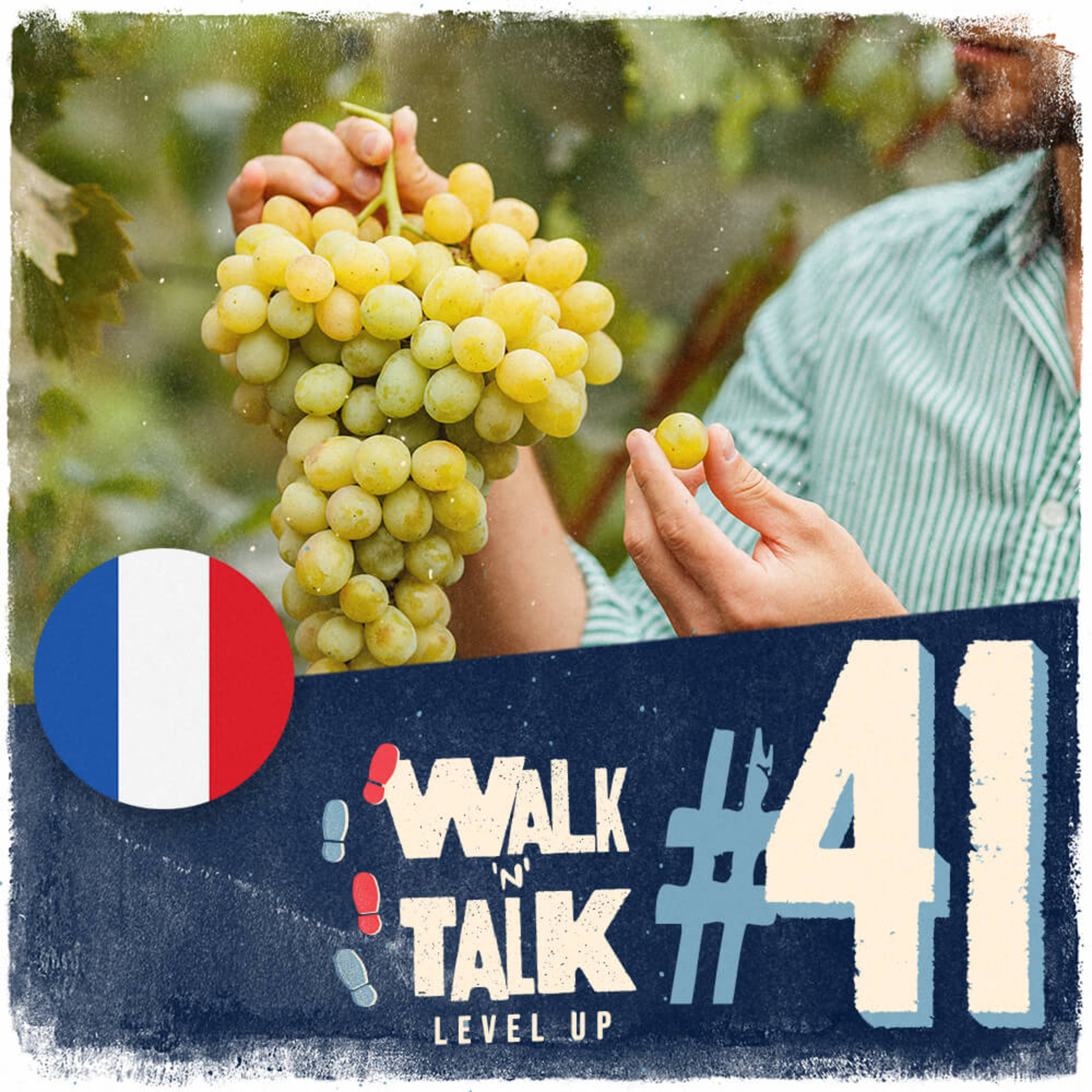 Walk 'n' Talk Level Up Francês #41 - C'est l'époque des vendanges ! episode artwork