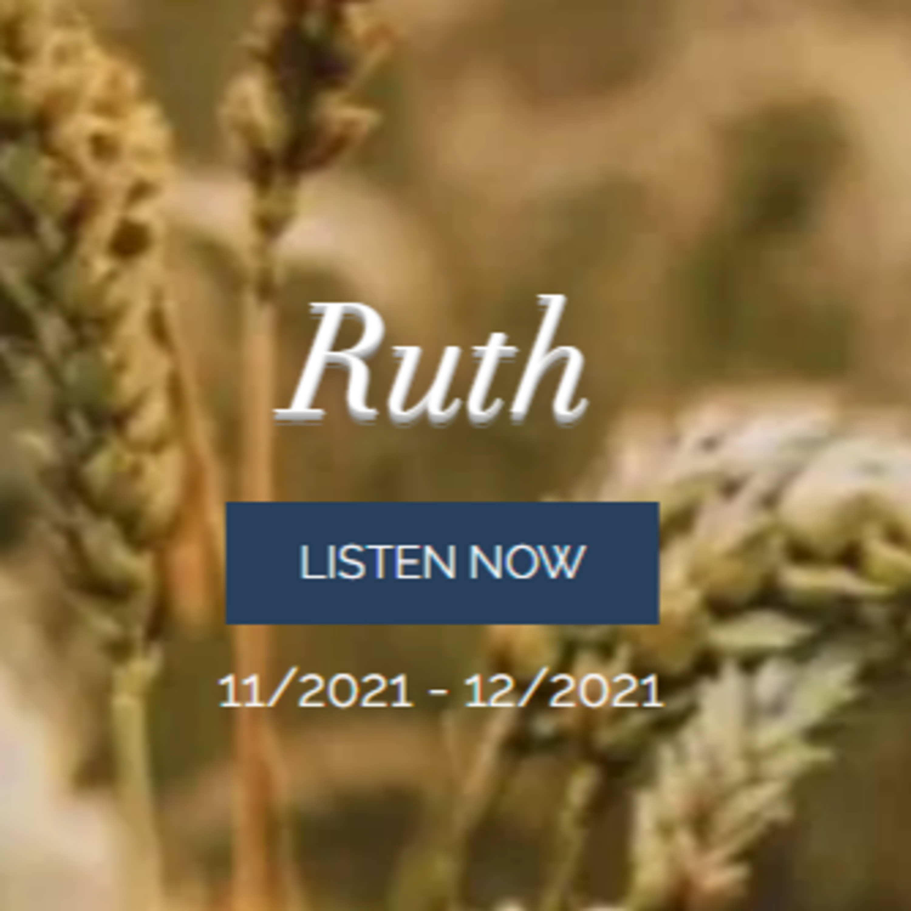 Ruth 2 - Gleaning episode artwork