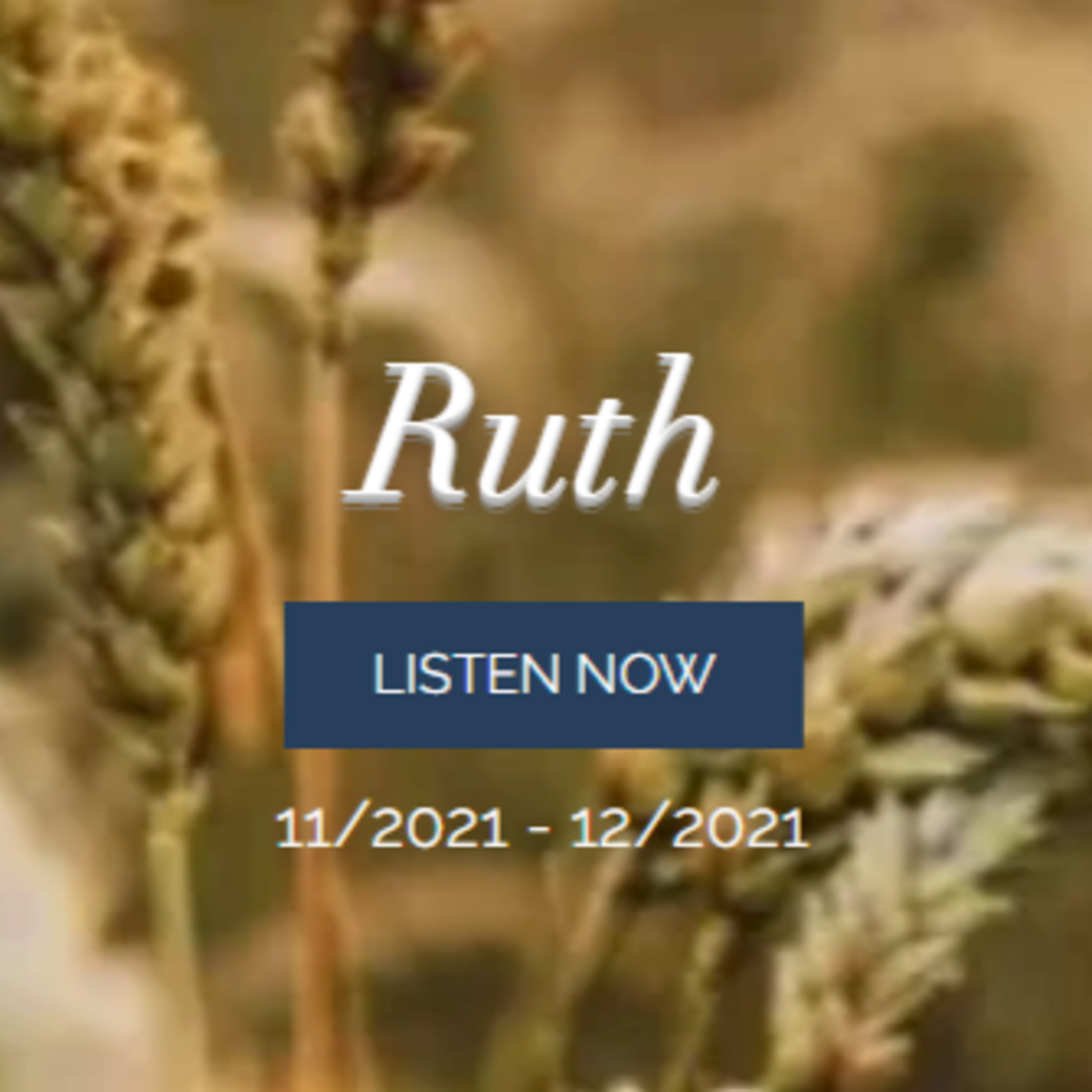 Ruth 4 - Redeeming episode artwork