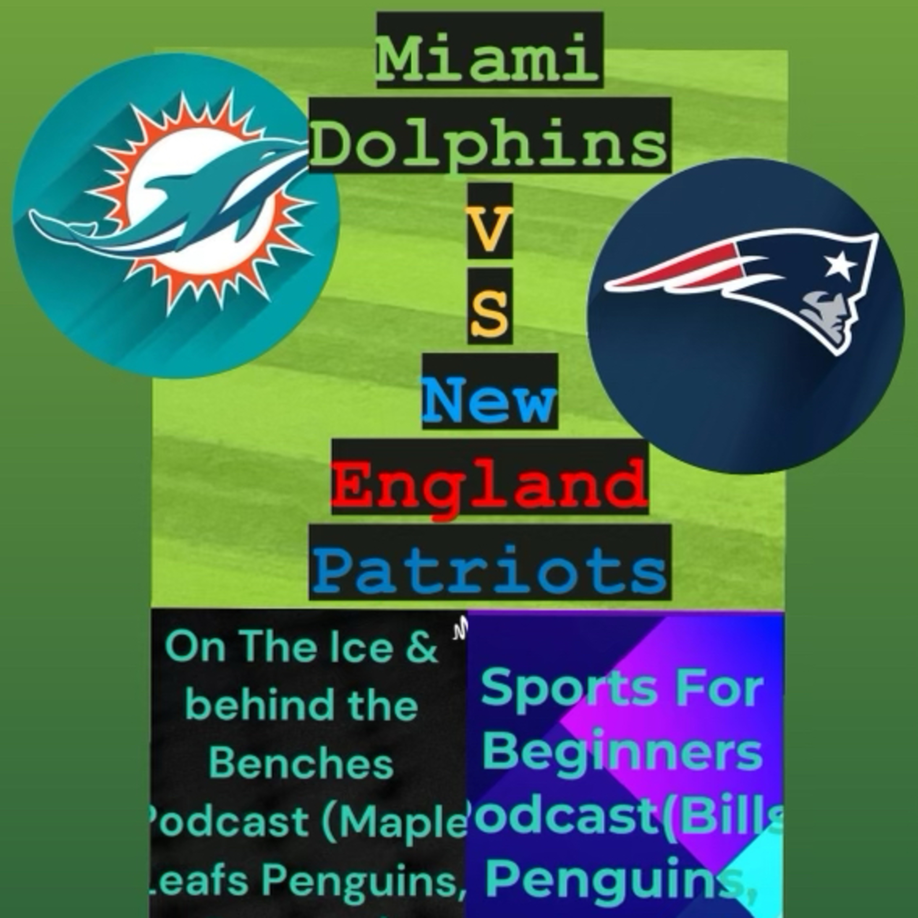 Dolphins Post-Game a showdown in Hard Rock (Fins versus Patriots)