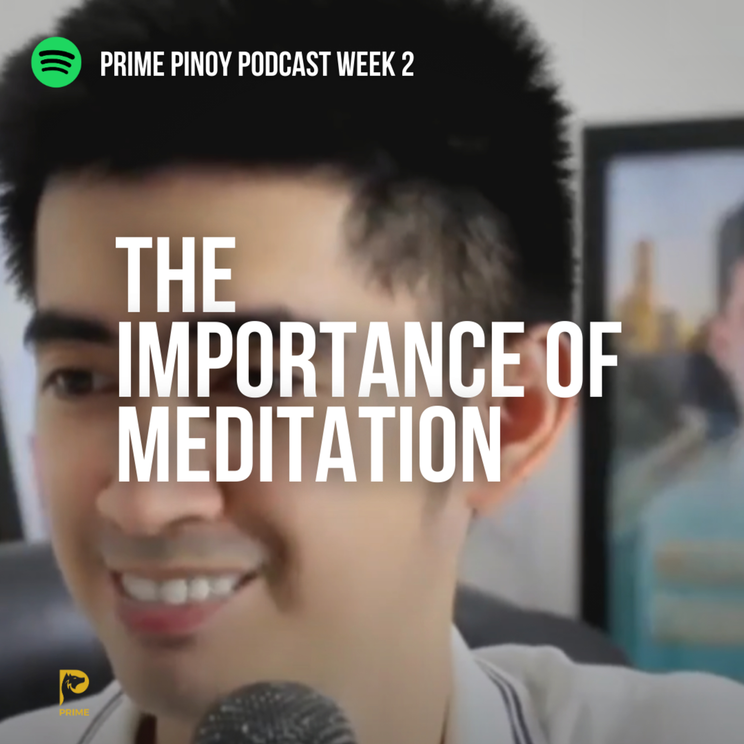 Episode 105 - The Importance of meditation episode artwork