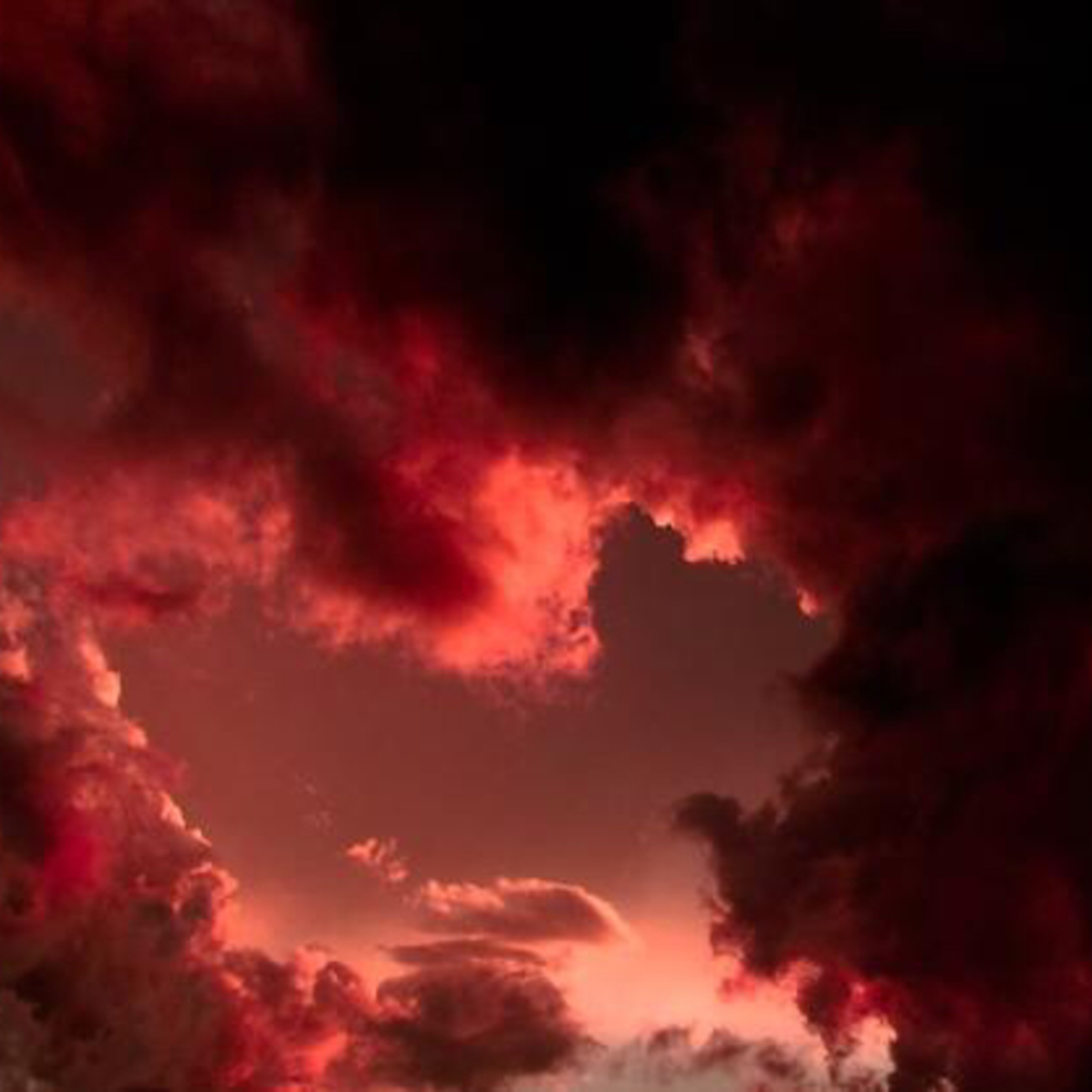 One Dark Universe