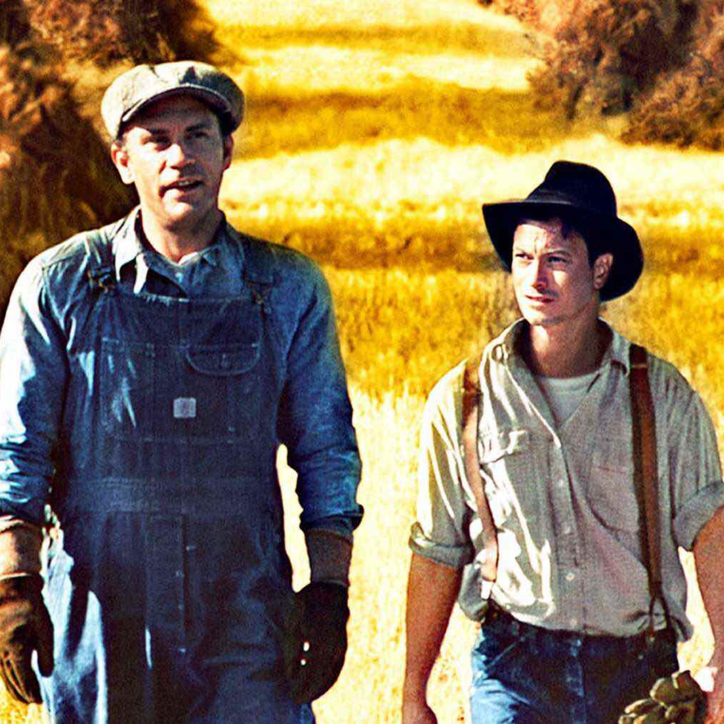 Surbiton English Lit