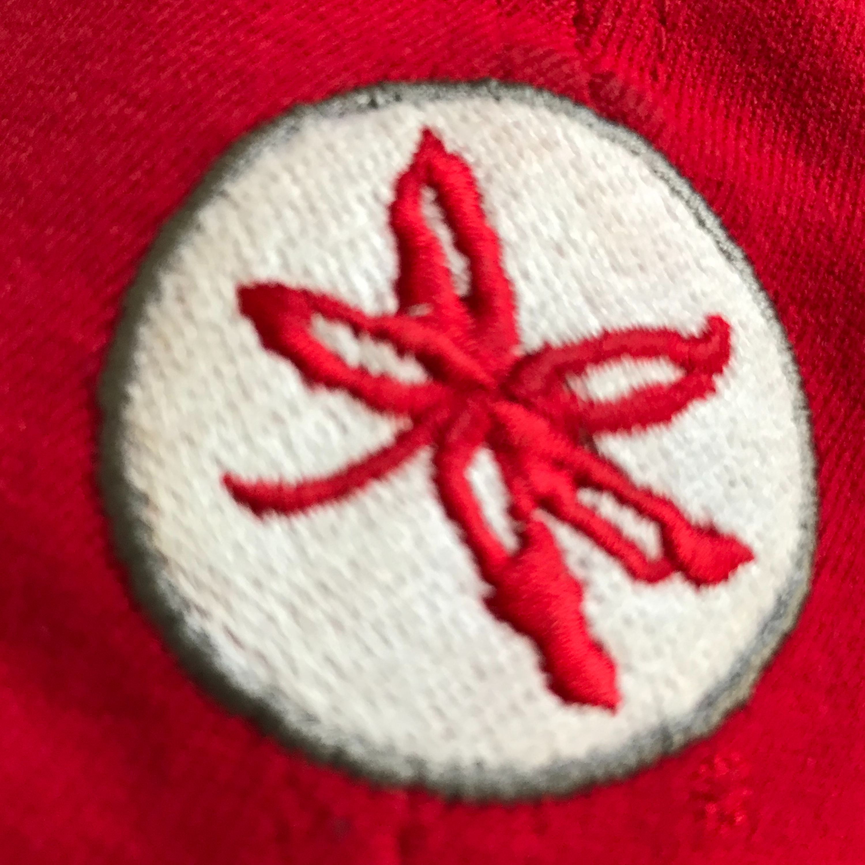 Podcast 85: A Buckeye in Georgia Bulldog Country episode artwork