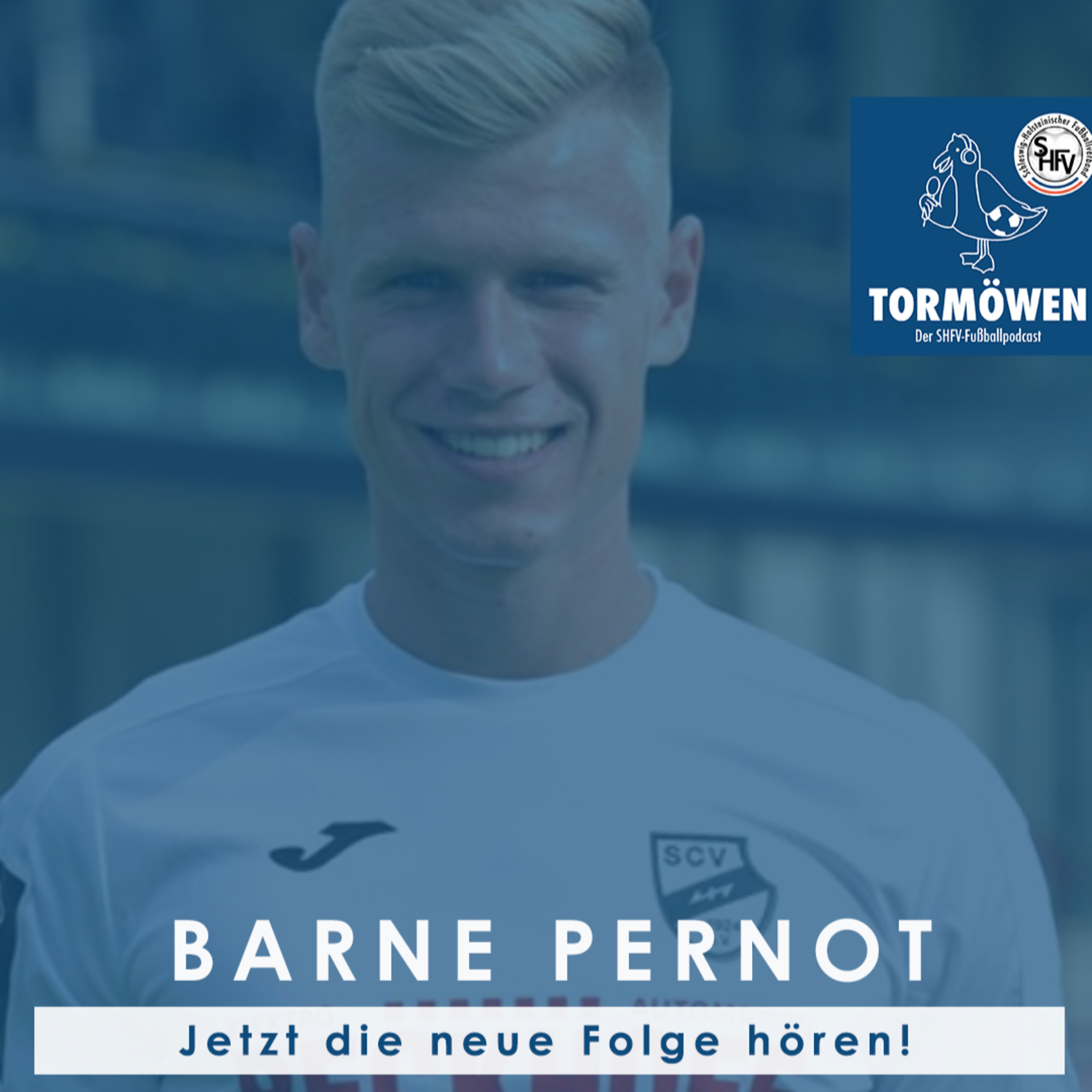 Tormöwen - Der SHFV-Fußballpodcast
