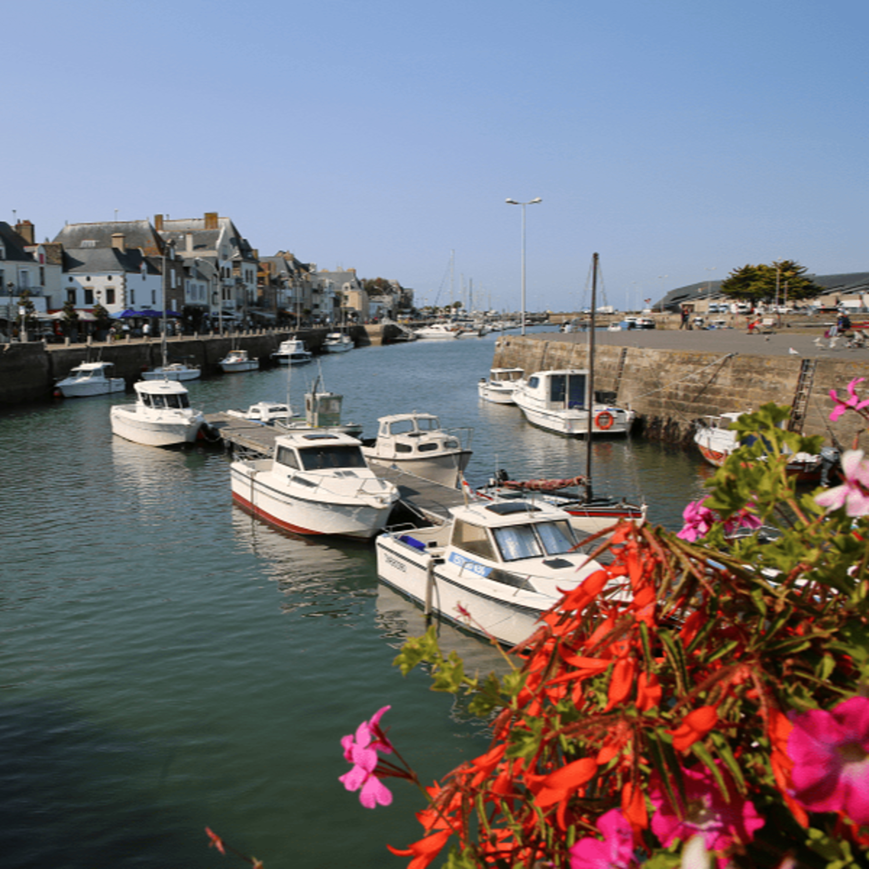 The Happy Negro Podcast