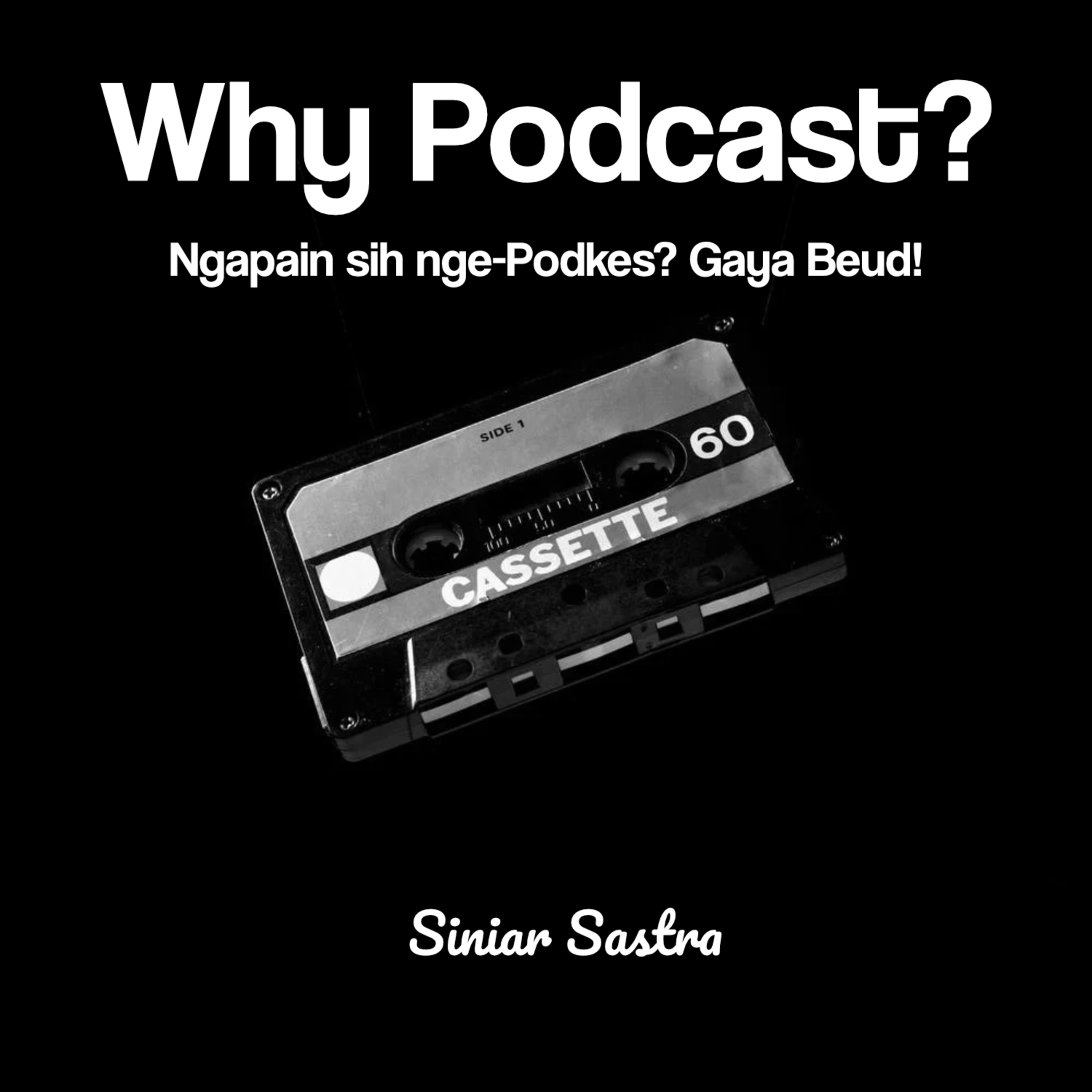Why Podcast? episode artwork