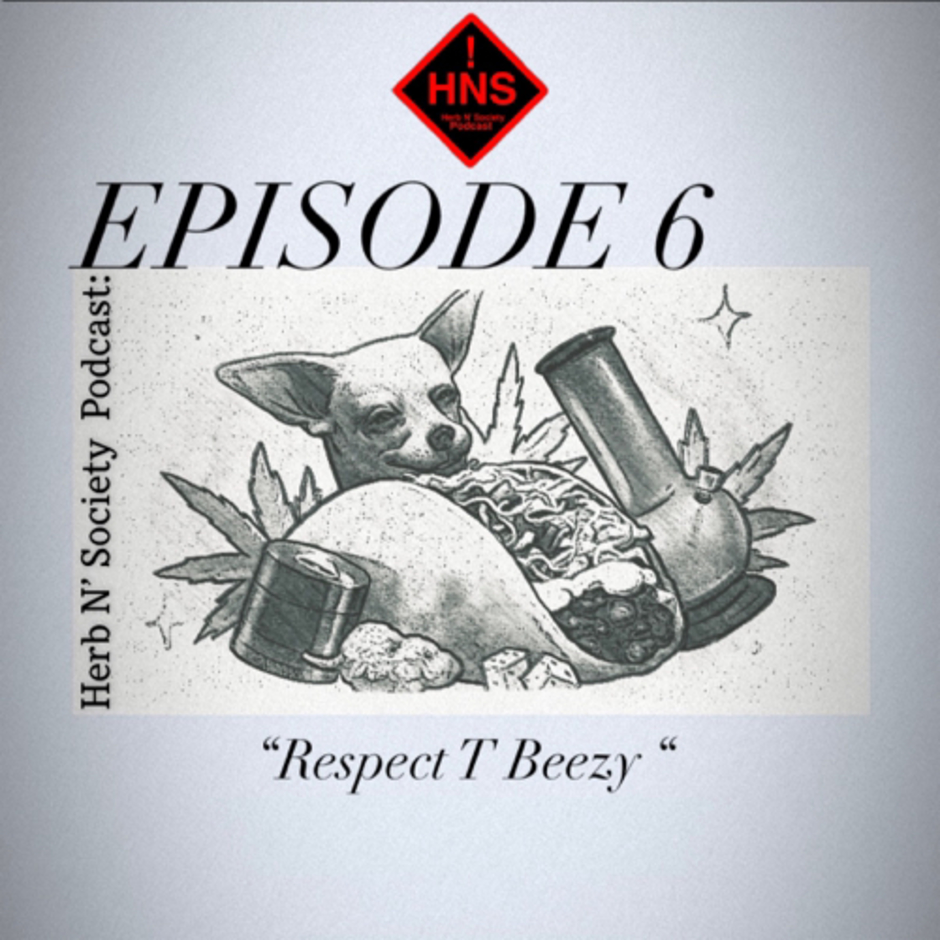 HNS Podcast