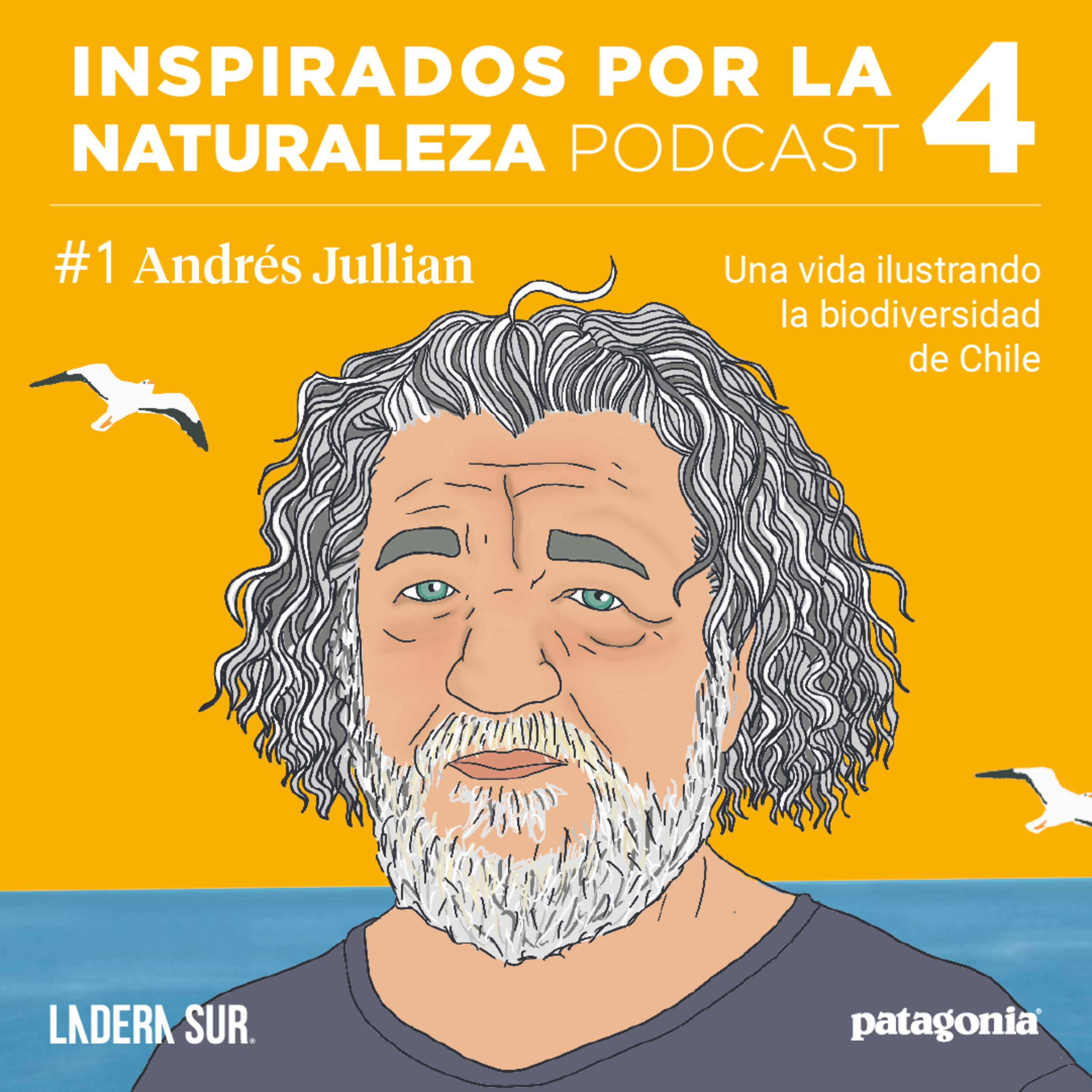 T04 - #01 - Andrés Jullian, Una vida ilustrando la biodiversidad de Chile.