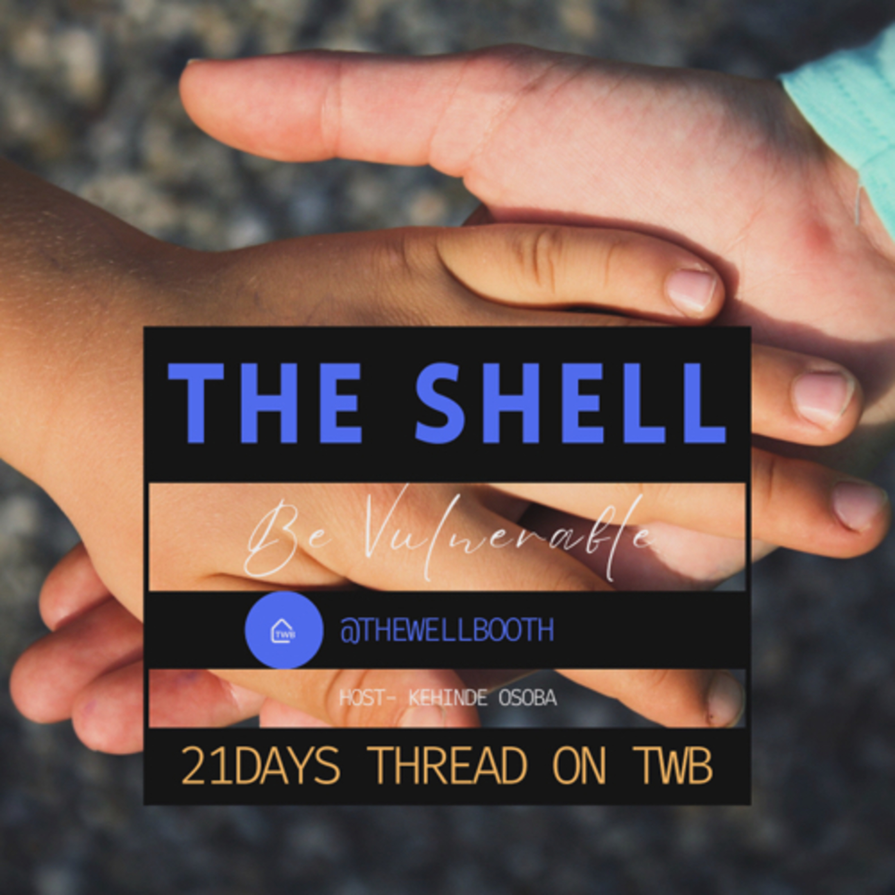 THE SHELL : NEXT STEP