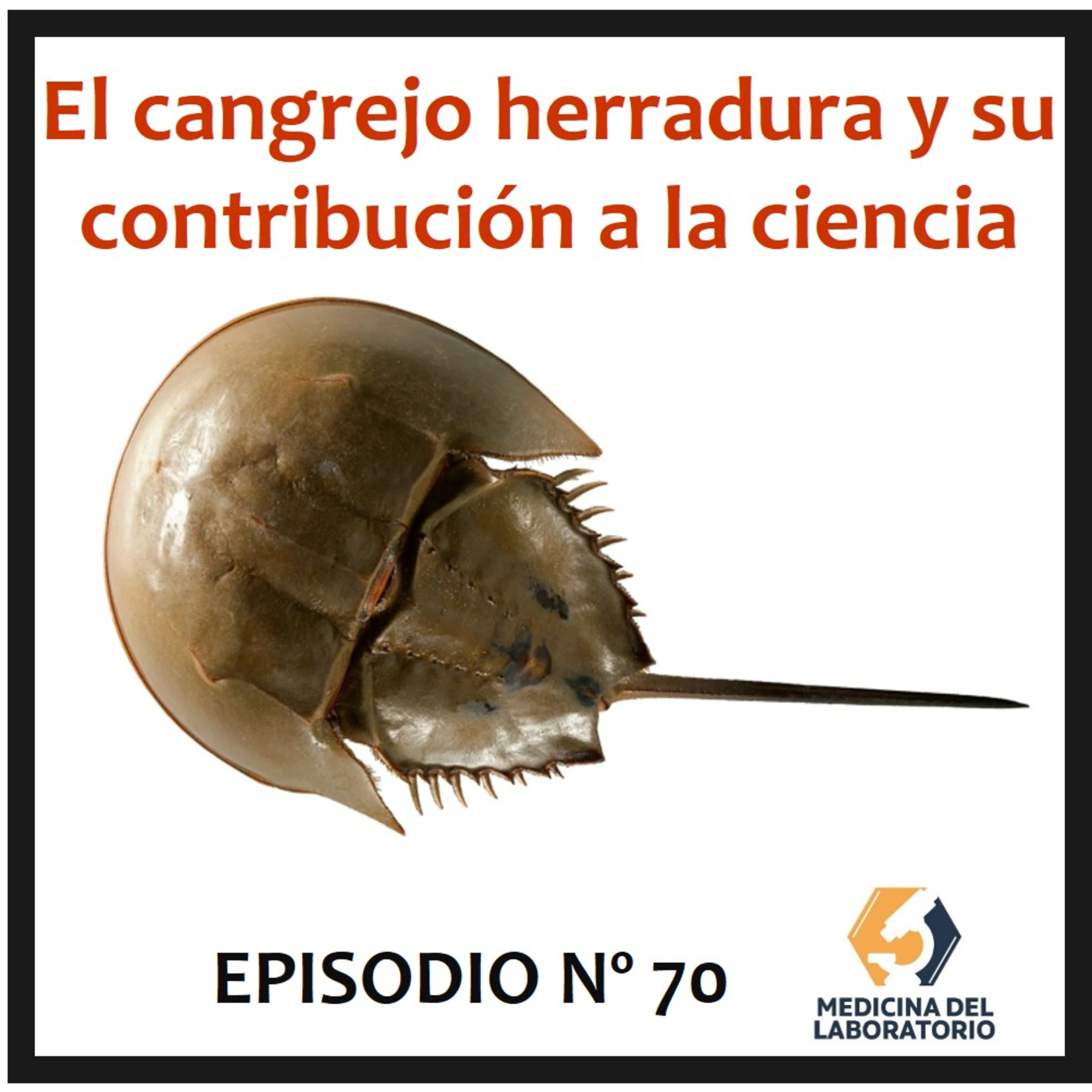 Medicina del Laboratorio