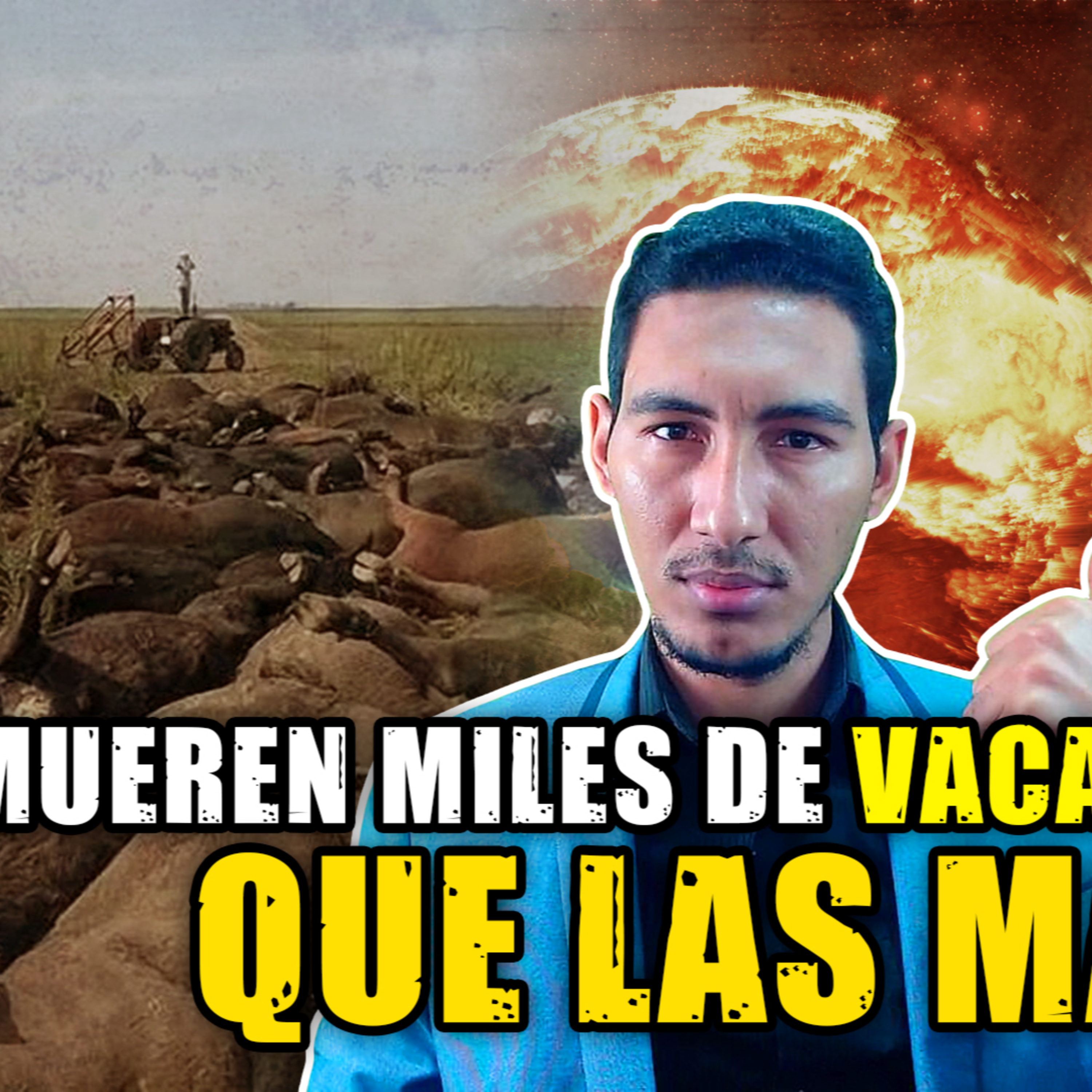 Apocaliptico! Miles de Vacas Caen Muertas al piso de repente. Que les paso?