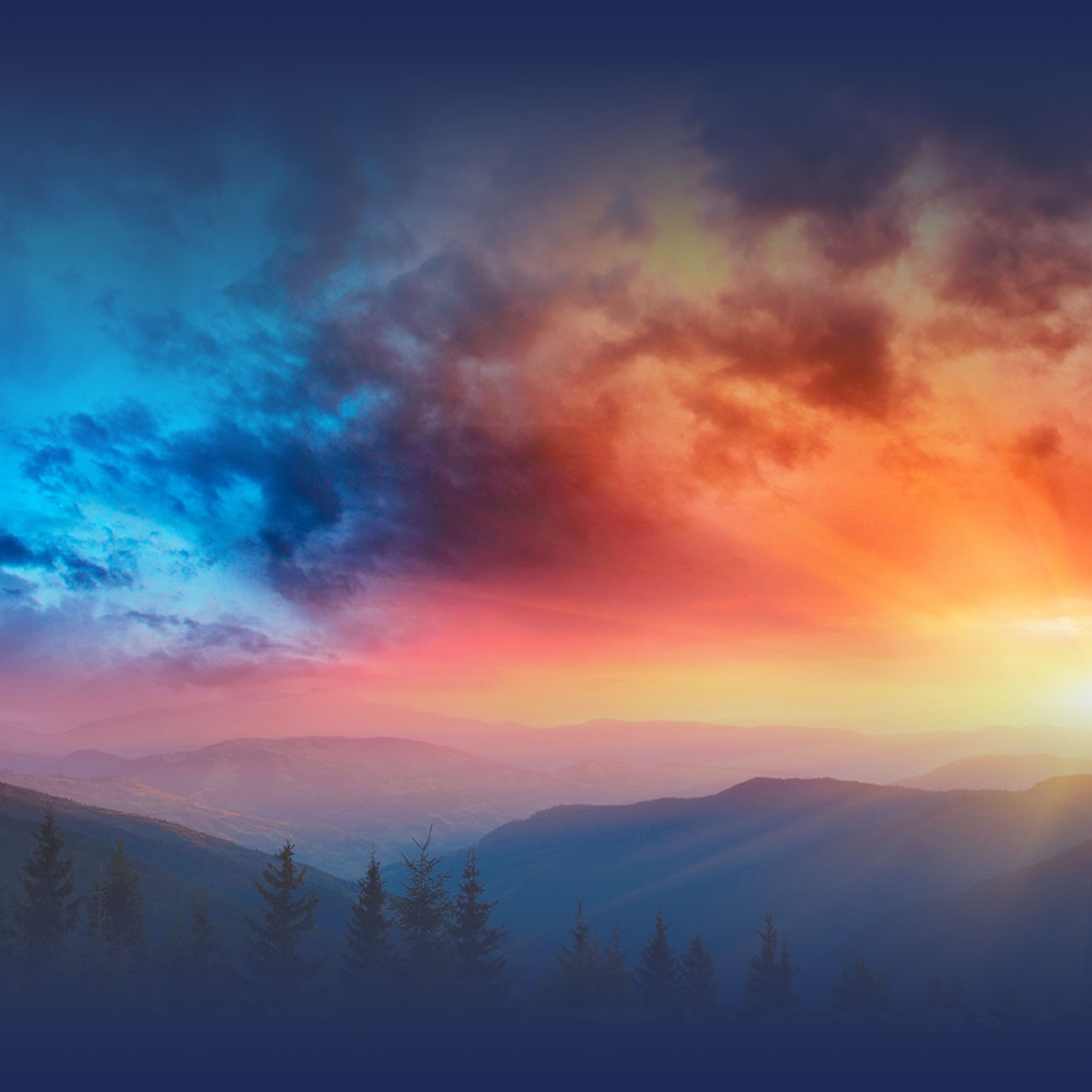 A Brighter Future