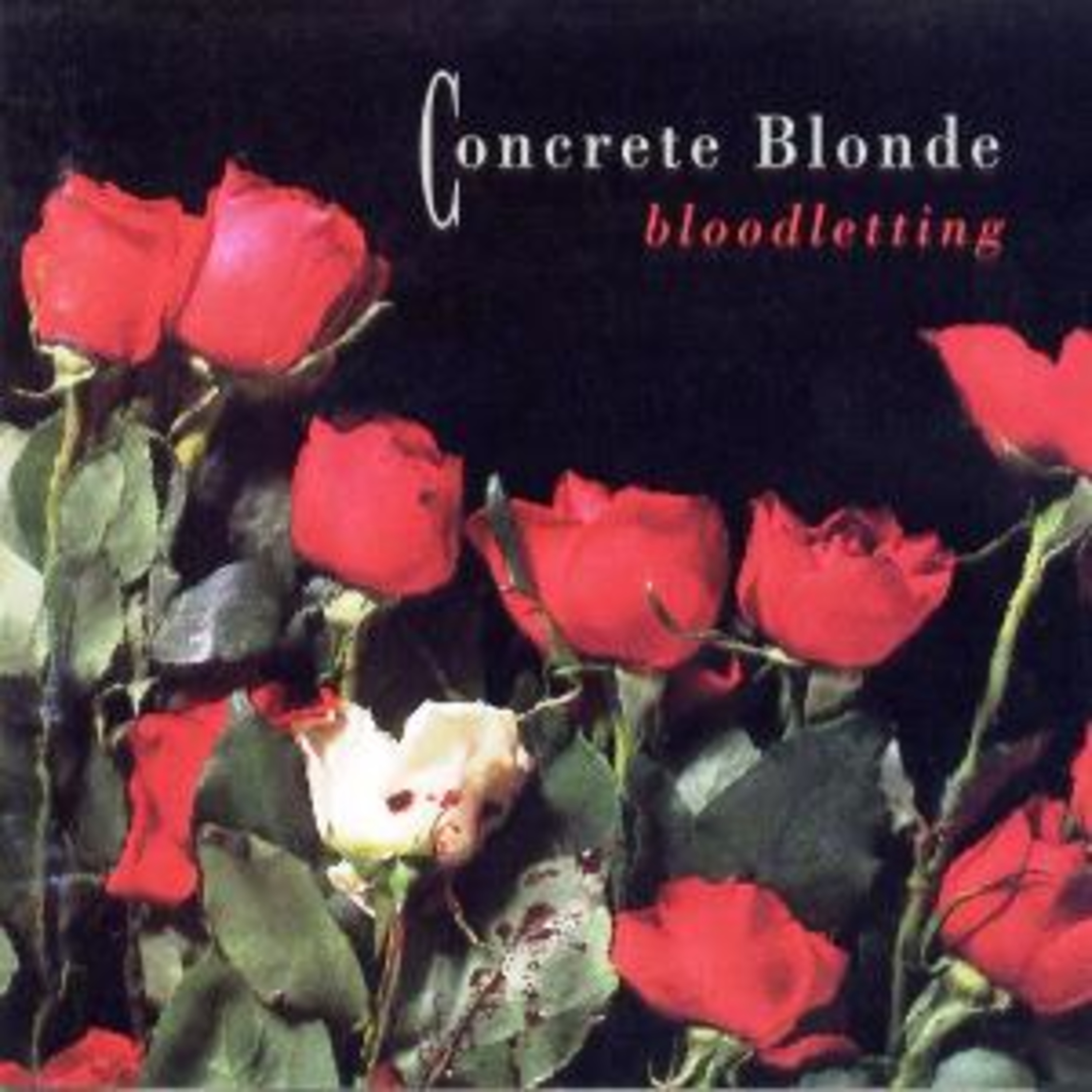 Concrete Blonde, "Bloodletting," (1990), Review episode artwork