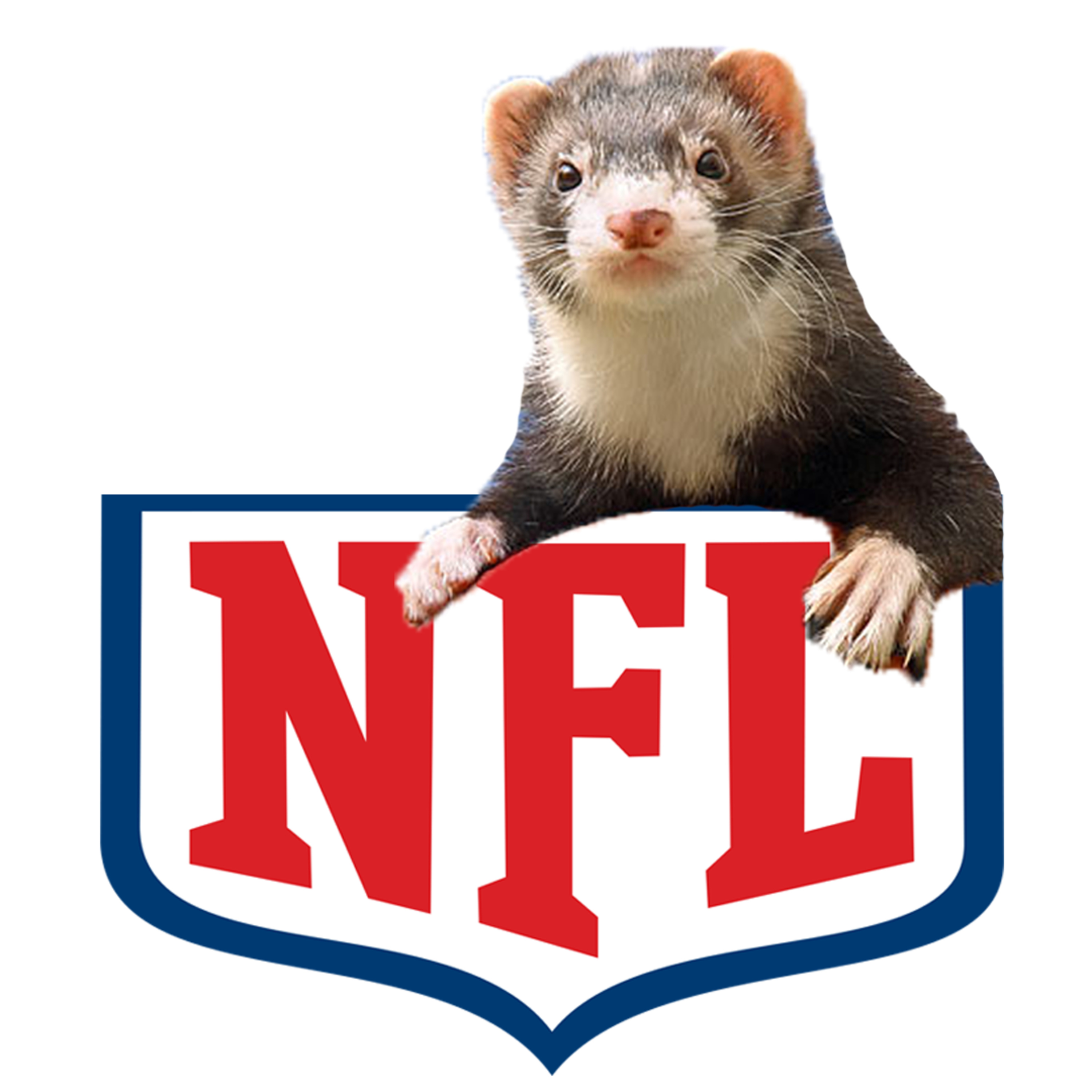 Super Bowl Recap | The Future of the NFL | FerretNFL (Final Episode of the Season!)