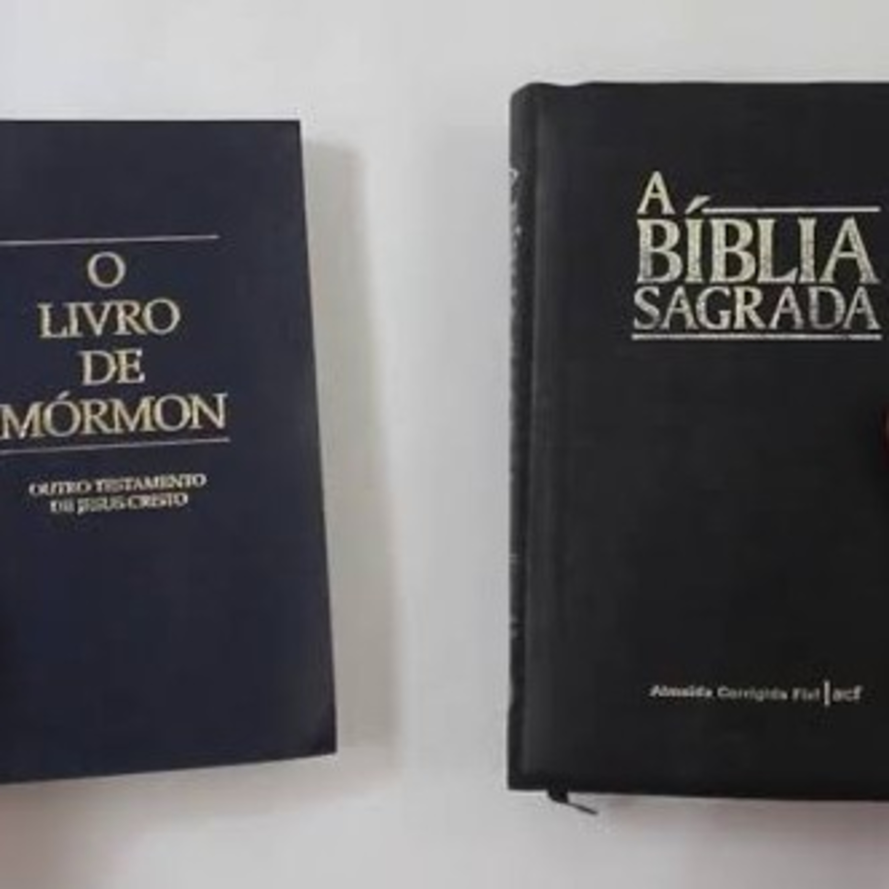 Nós Sem Fronteiras