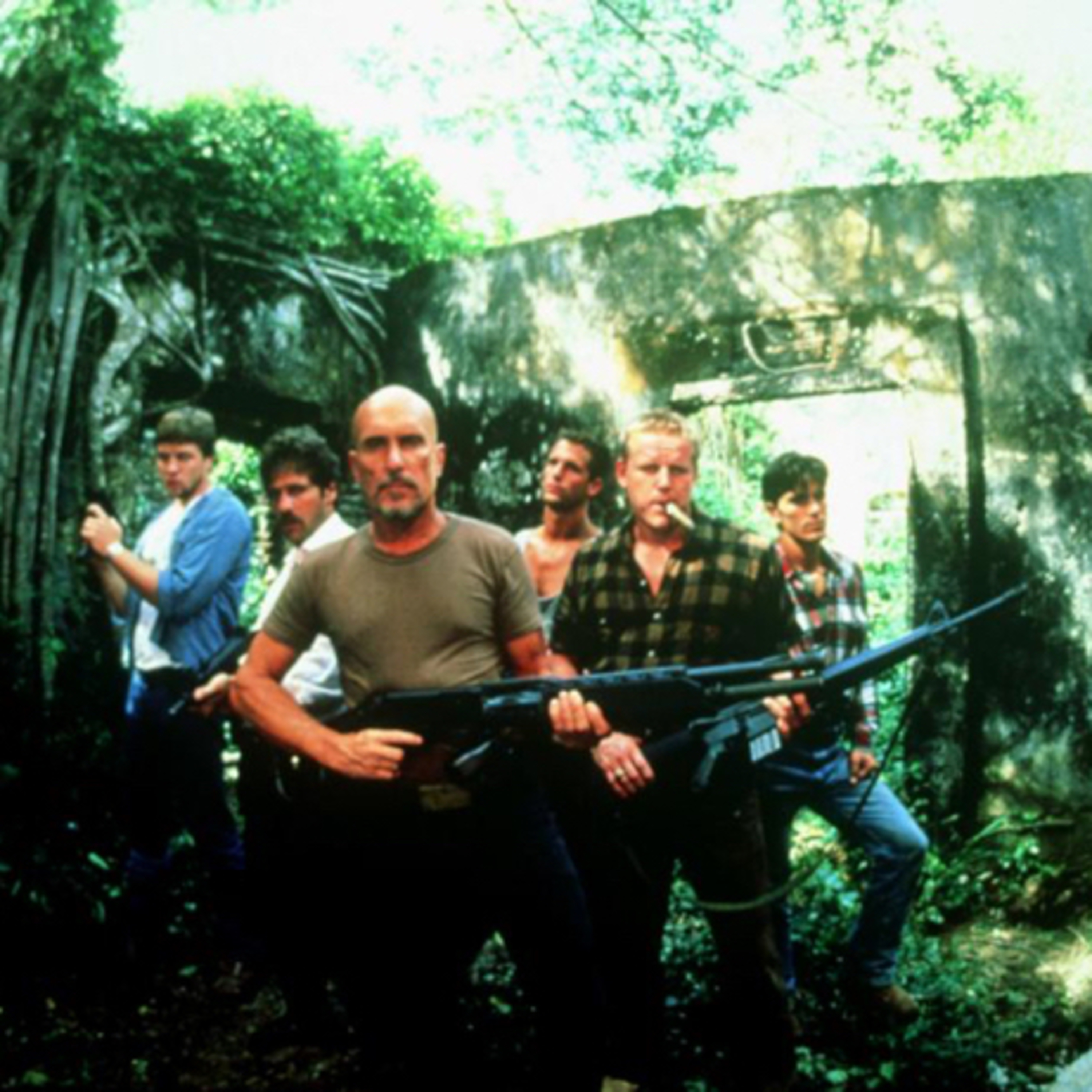 THE ACTION FIX PODCAST