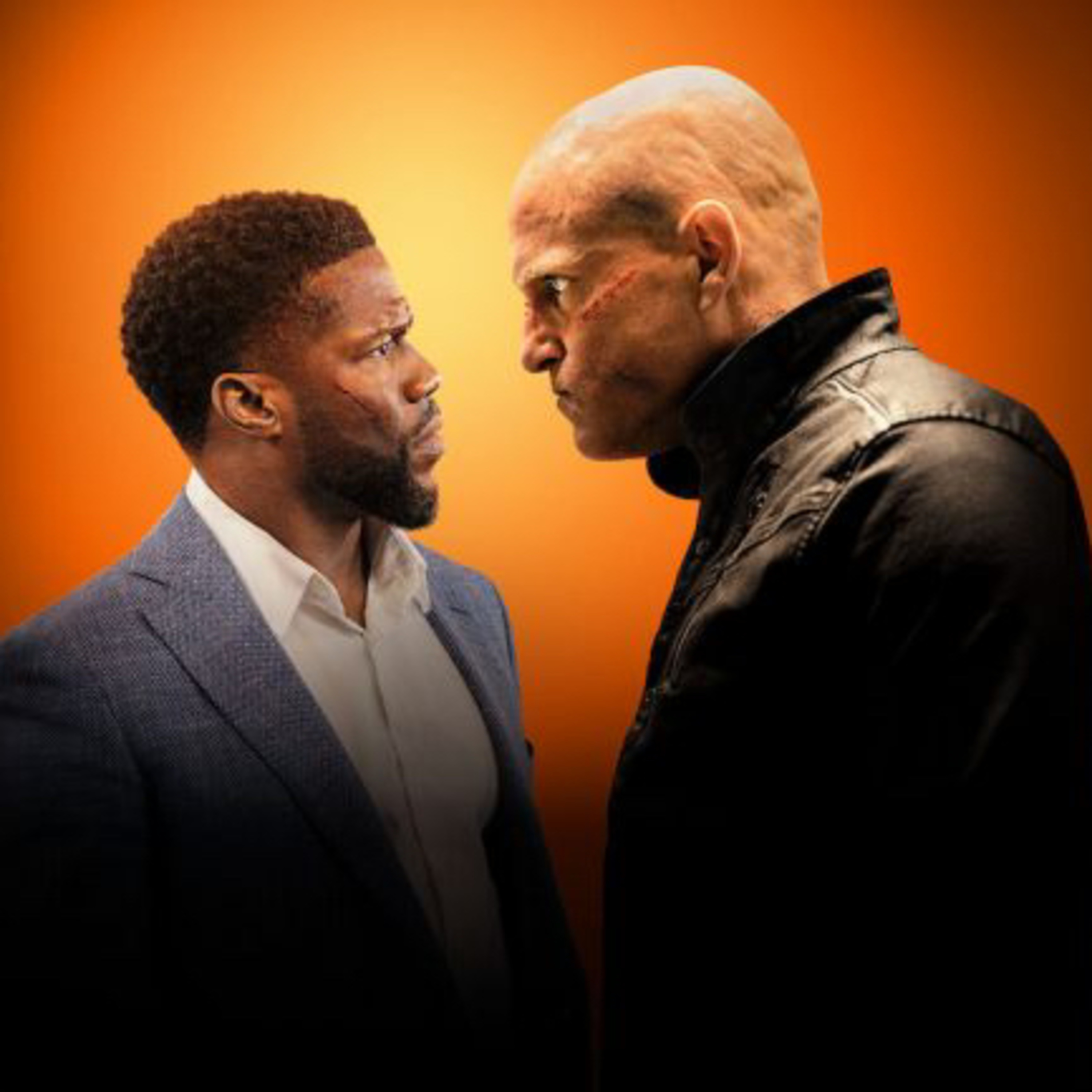 THE ACTION FIX PODCAST