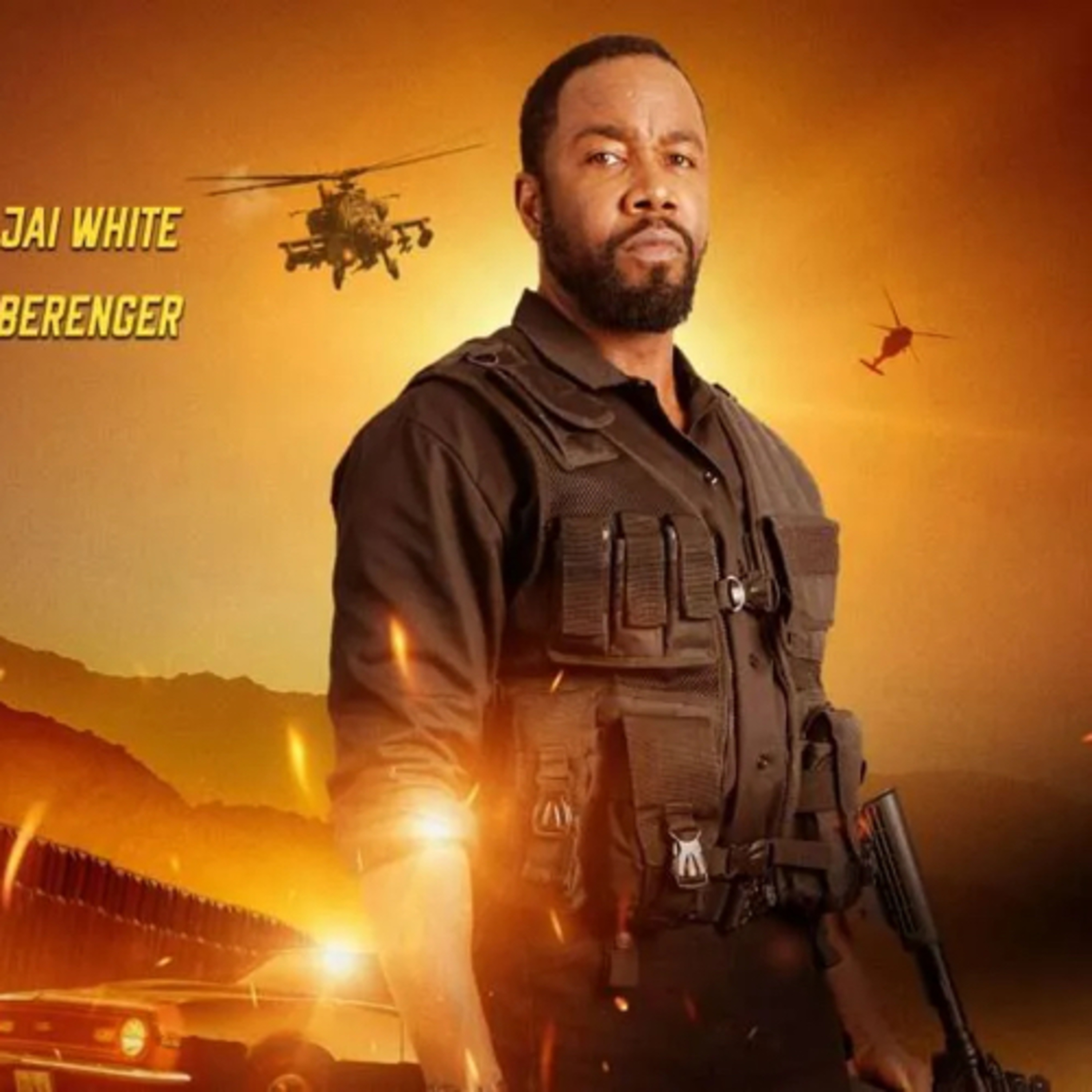 THE ACTION FIX PODCAST