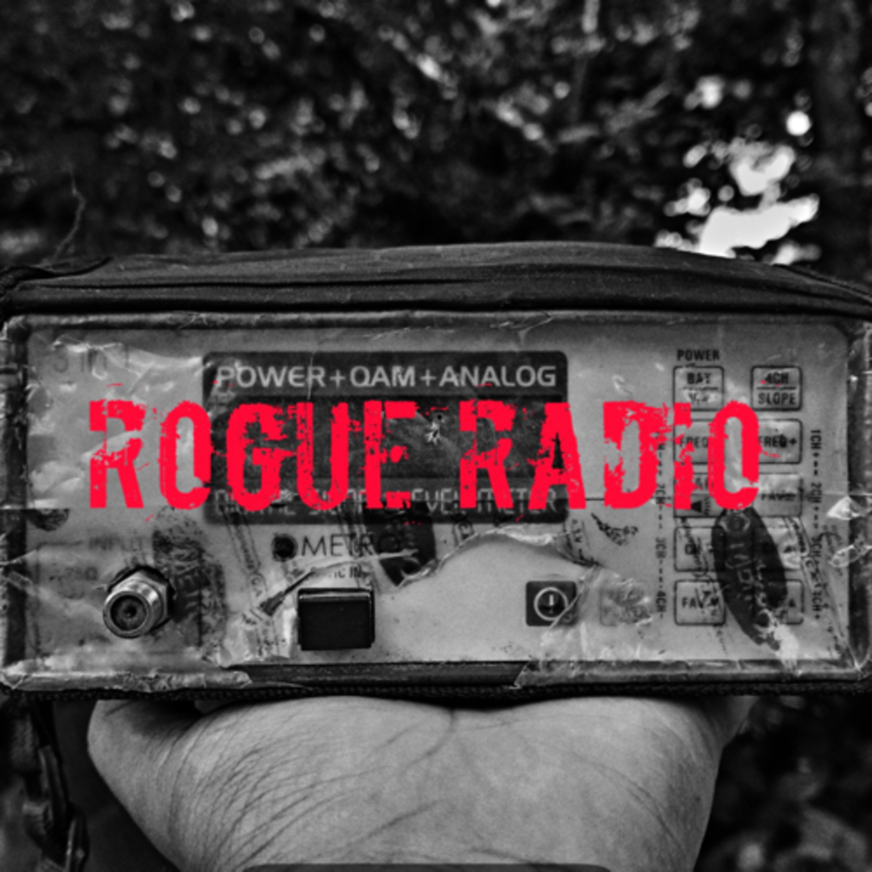 Rogue Radio
