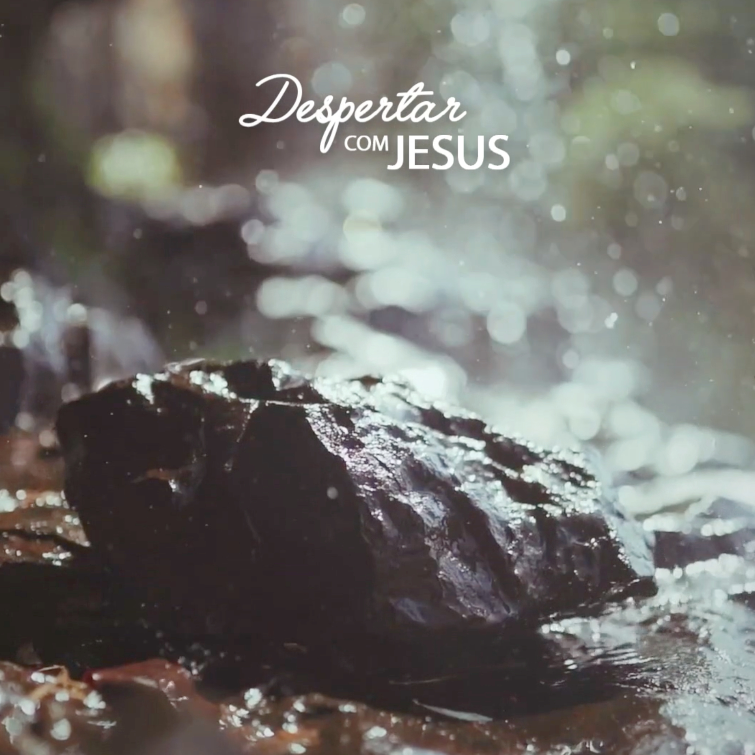 Despertar com Jesus