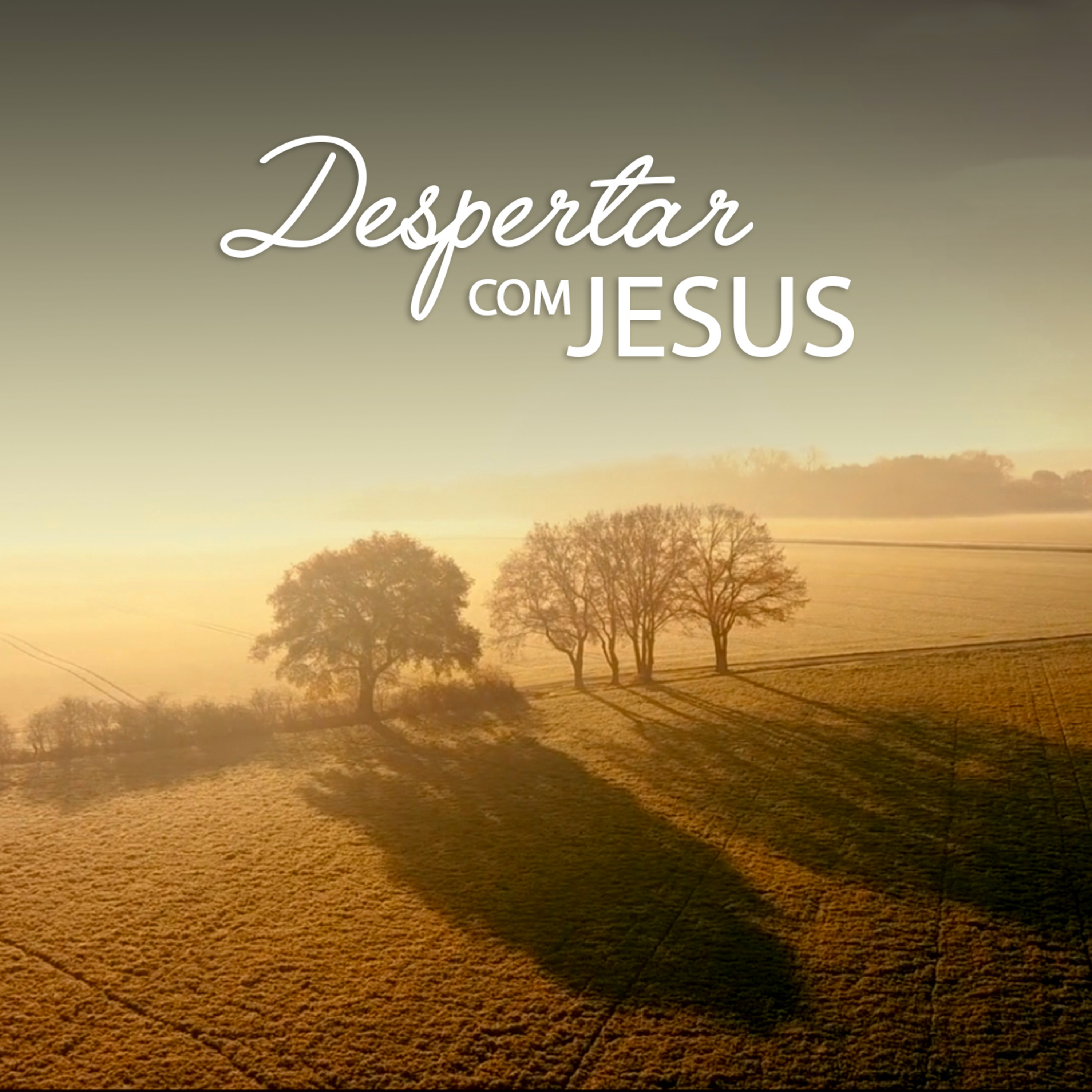 Culto diário episode artwork