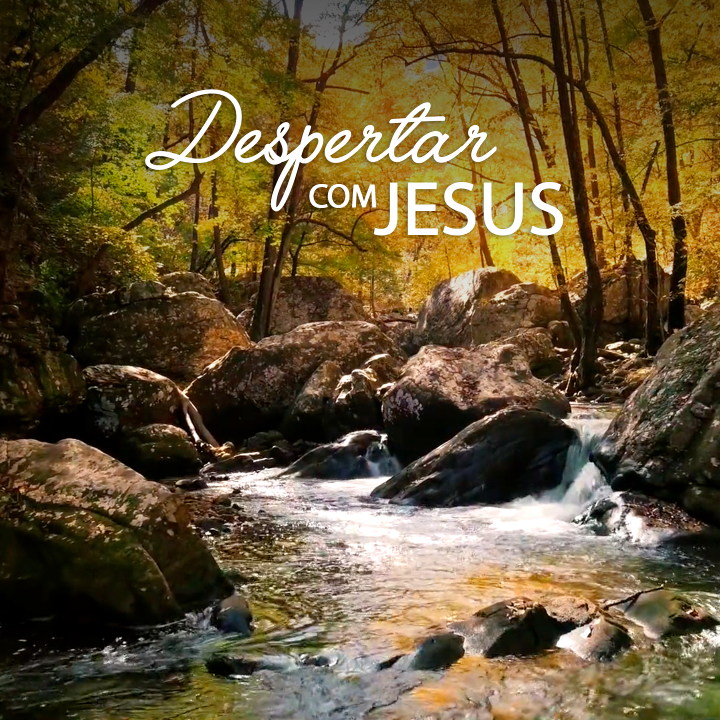 Despertar com Jesus
