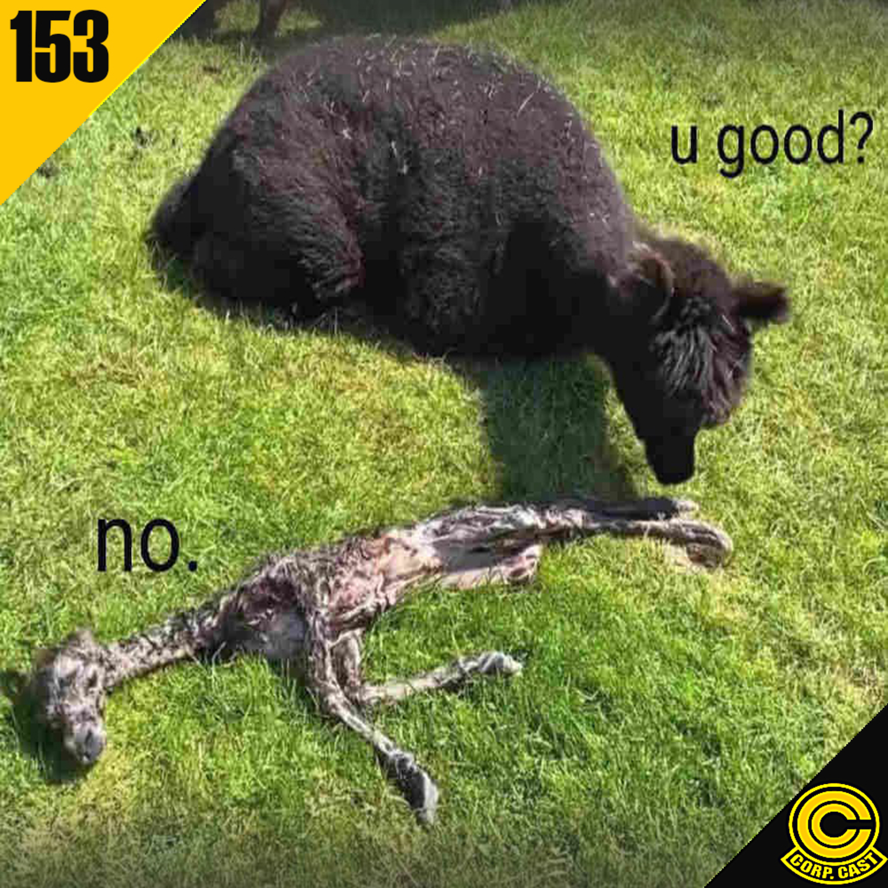 CORP. CAST #153 - Letícia NA LATA! pt2 episode artwork