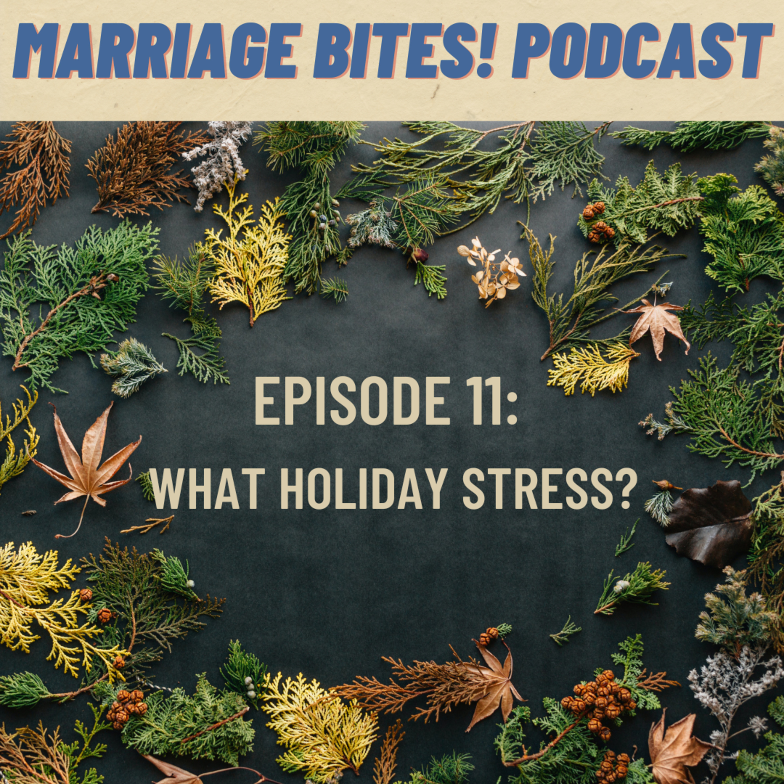 Marriage Bites! Podcast | Improve Your Marriage One \