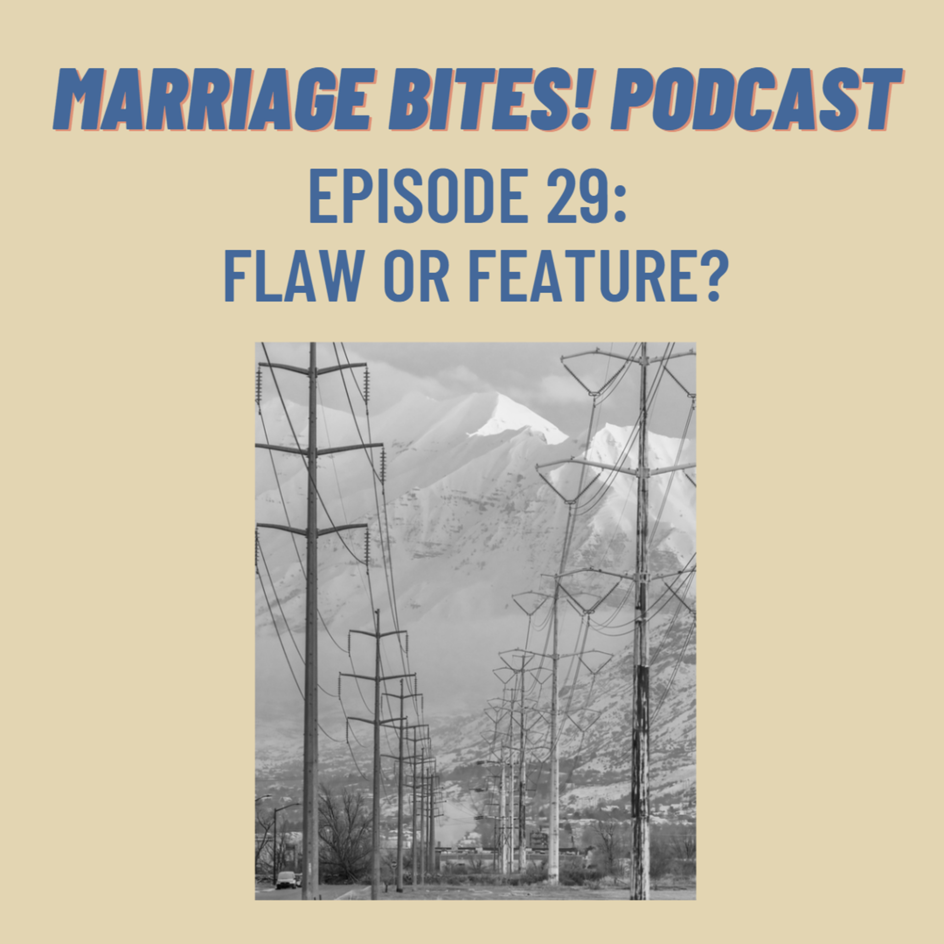 Marriage Bites! Podcast | Improve Your Marriage One \