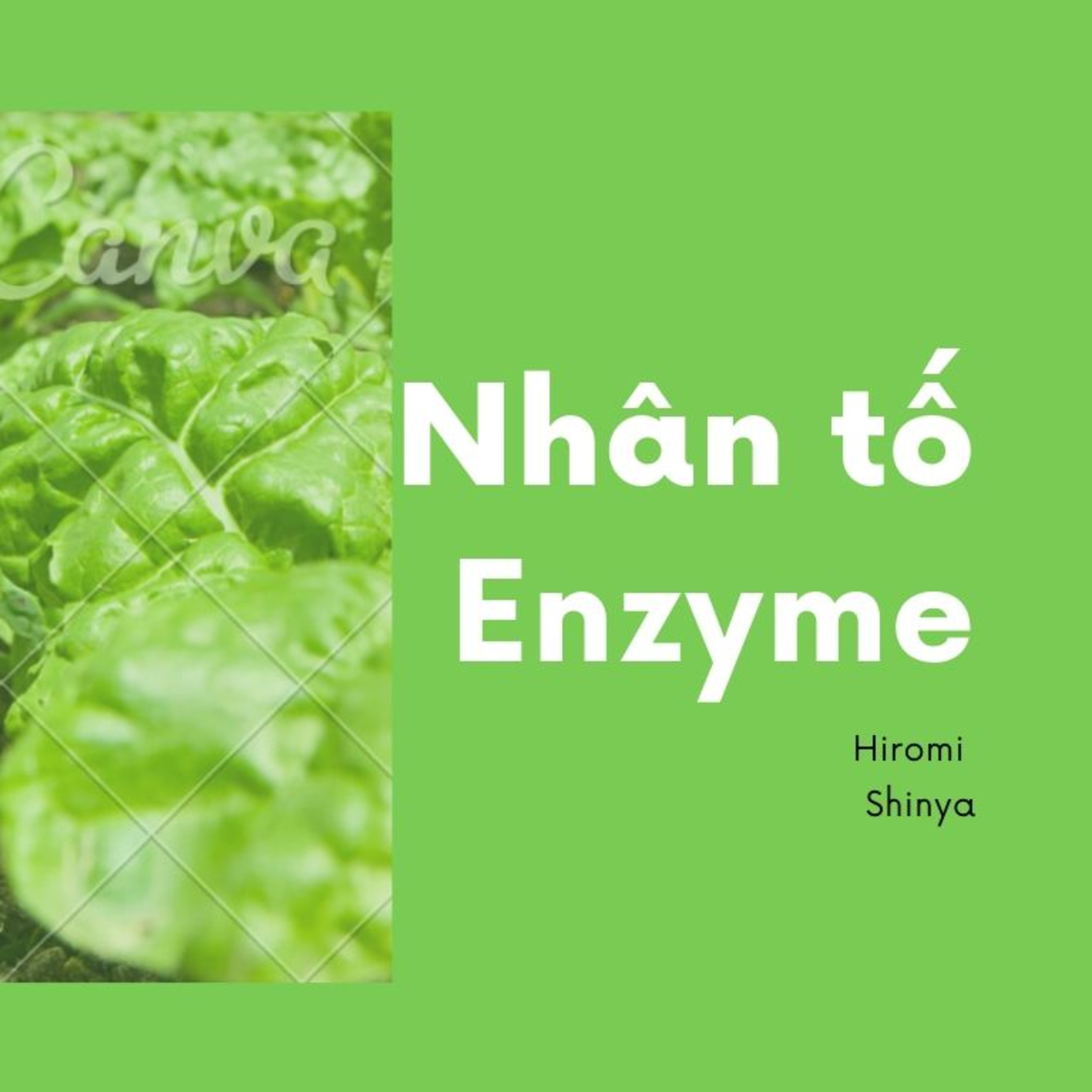 Đọc sách với NV Linh